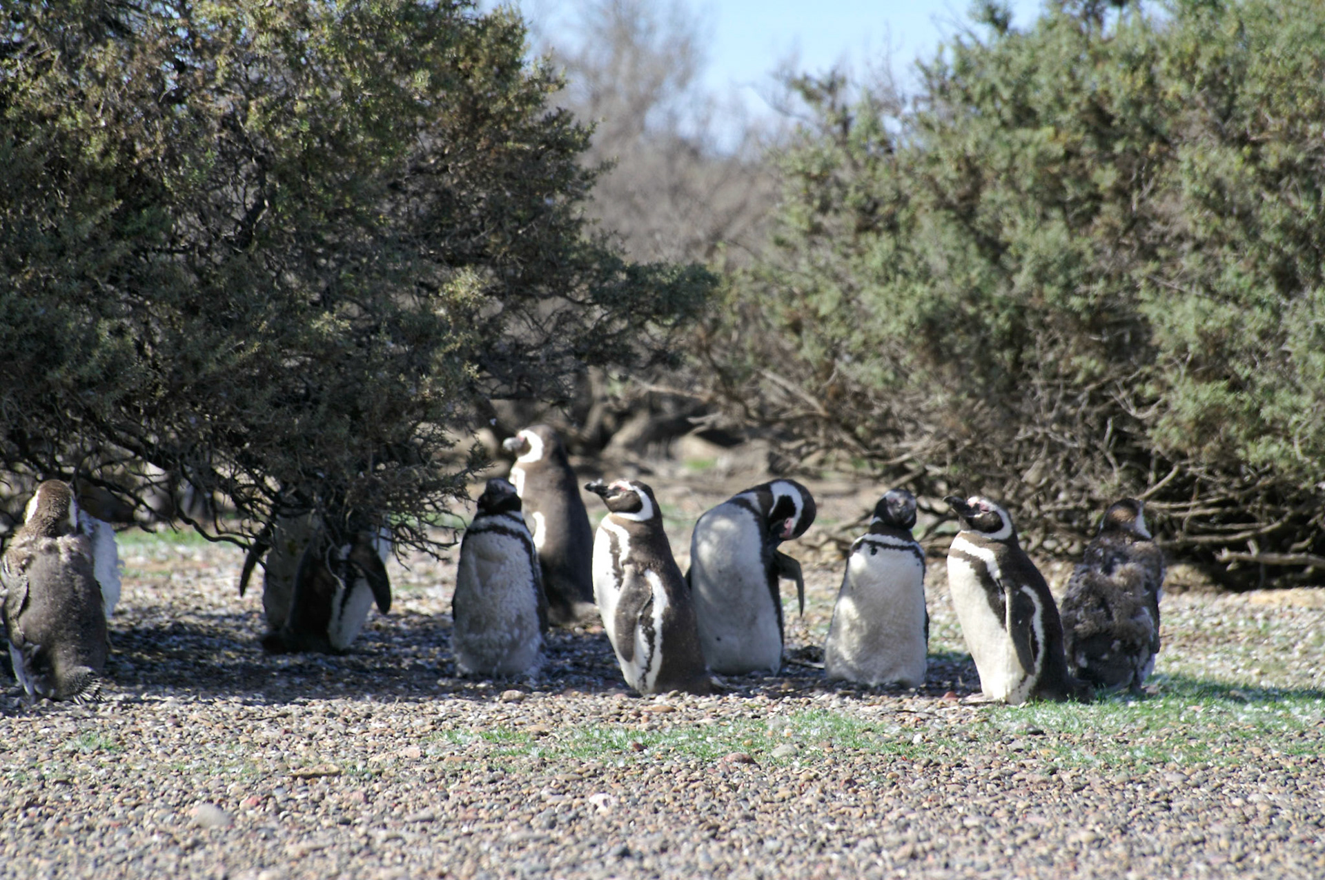 KONICA MINOLTA DIGITAL CAMERA