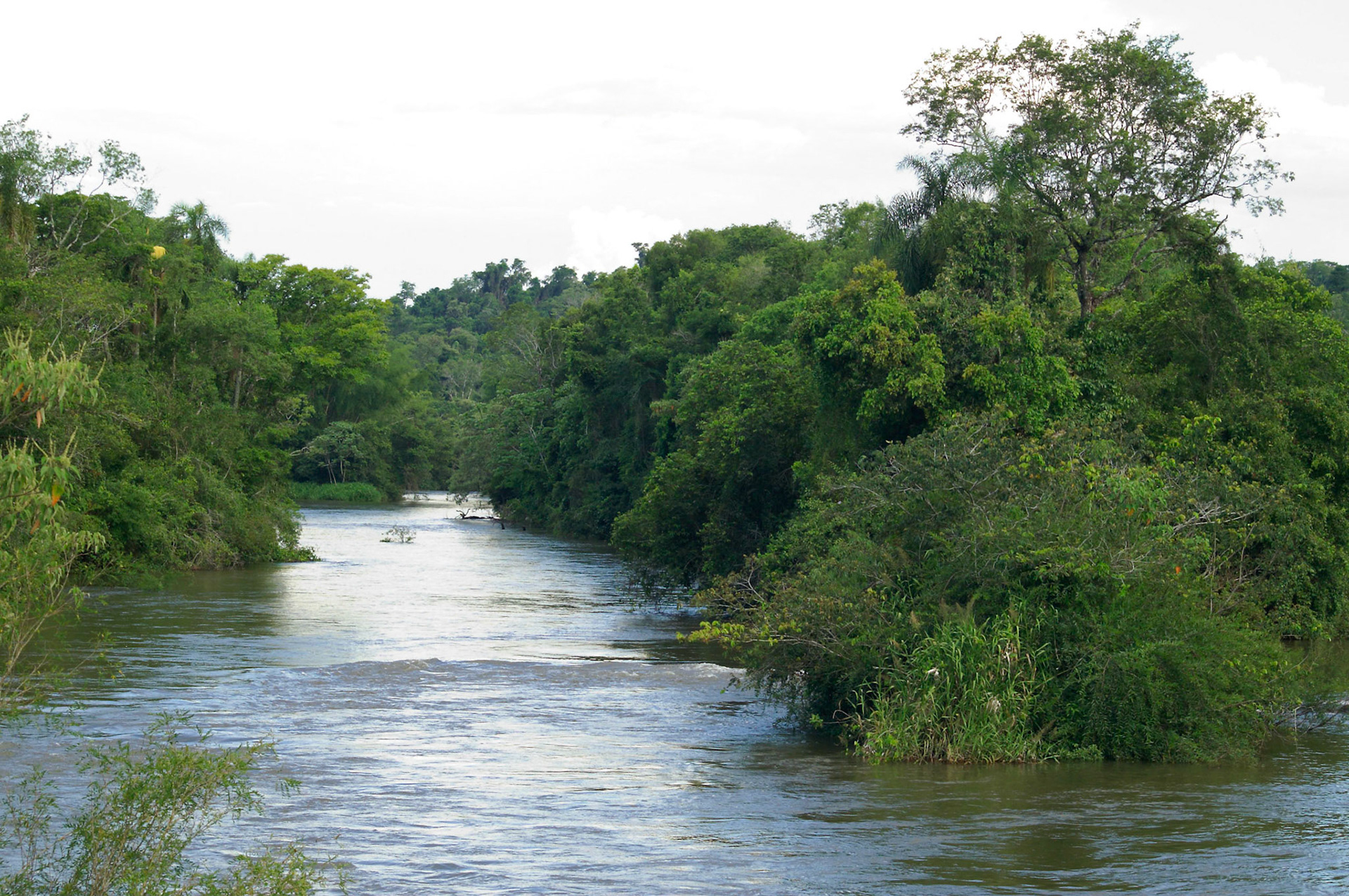 KONICA MINOLTA DIGITAL CAMERA