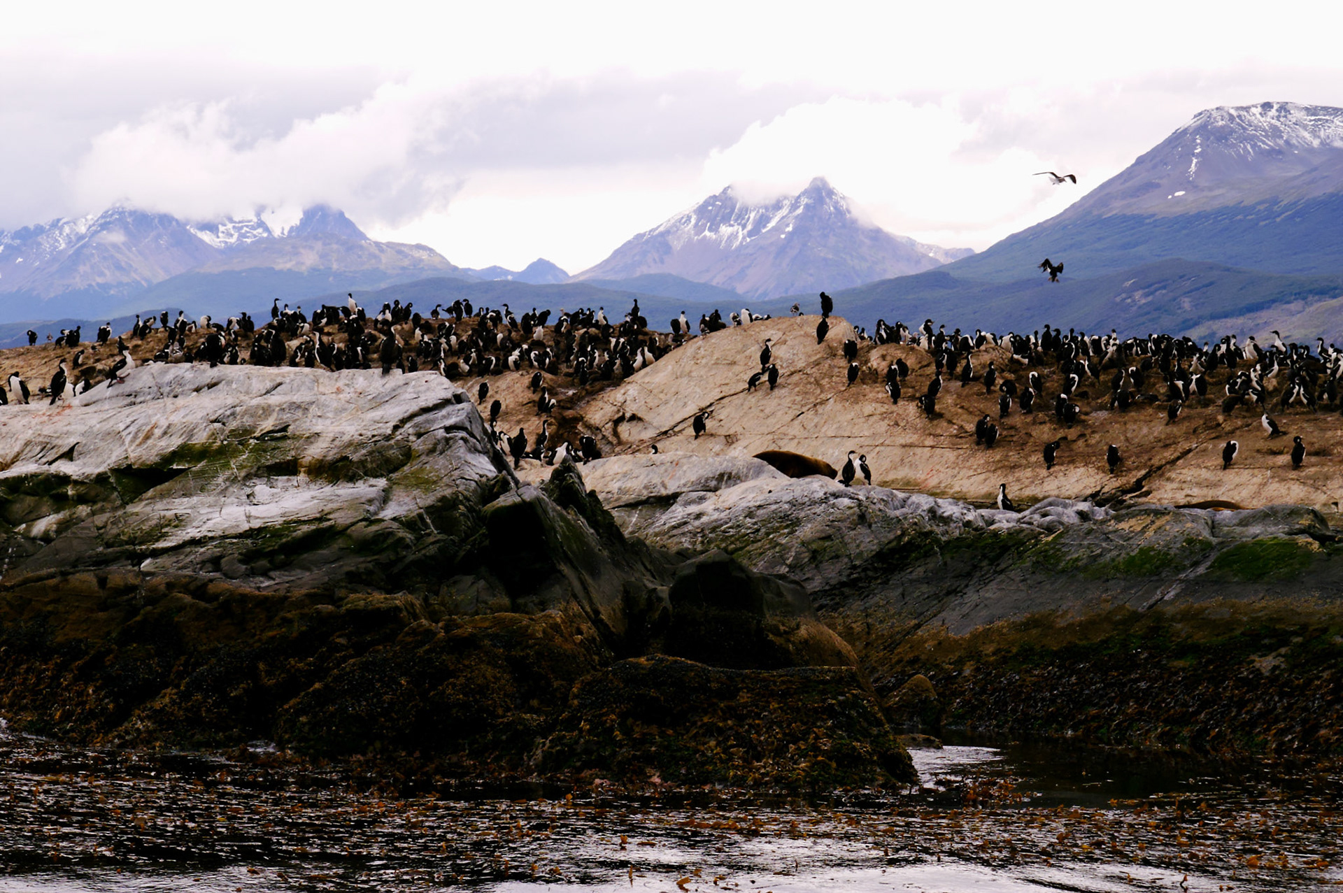 KONICA MINOLTA DIGITAL CAMERA