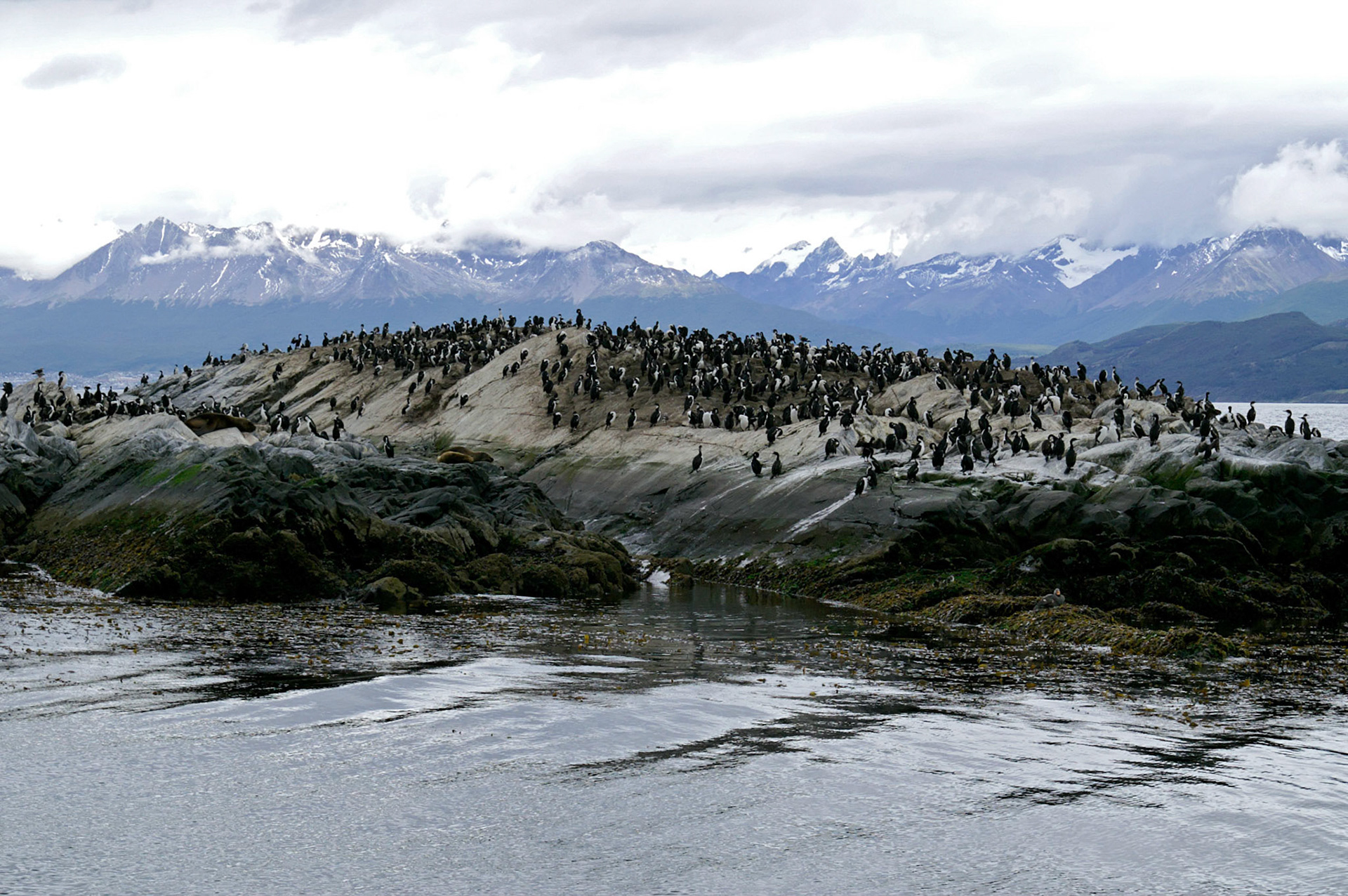 KONICA MINOLTA DIGITAL CAMERA