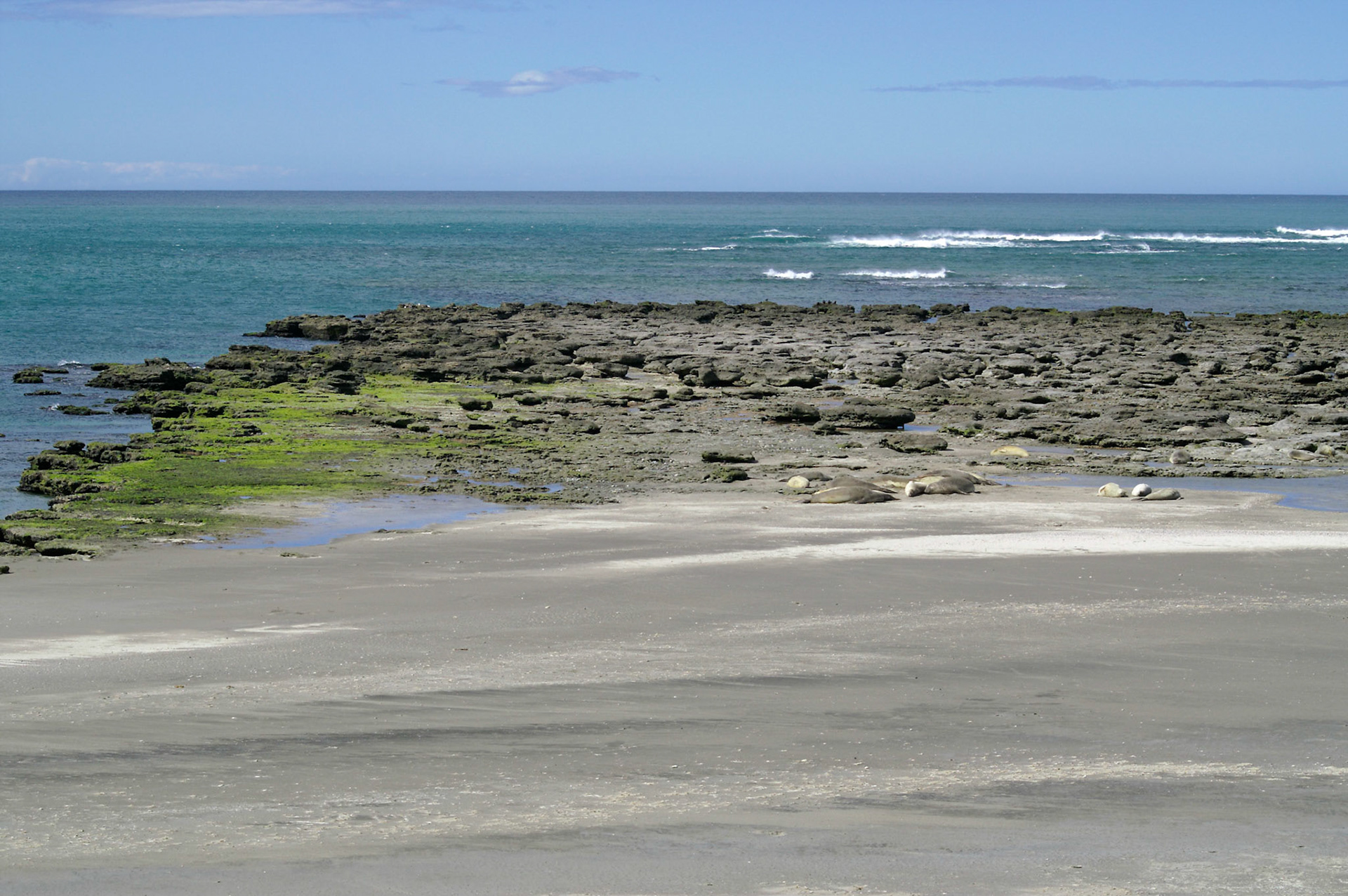 KONICA MINOLTA DIGITAL CAMERA