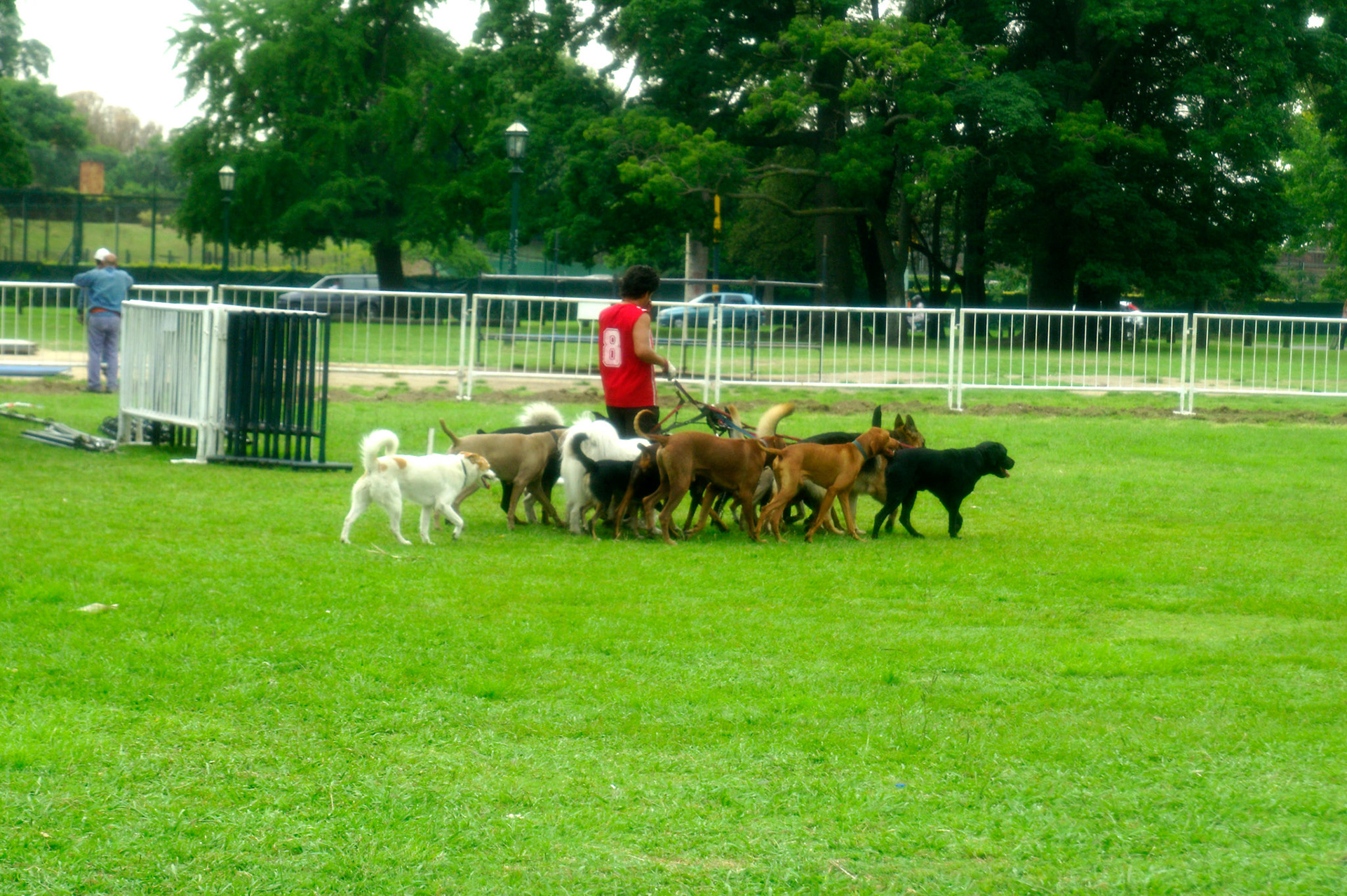 KONICA MINOLTA DIGITAL CAMERA