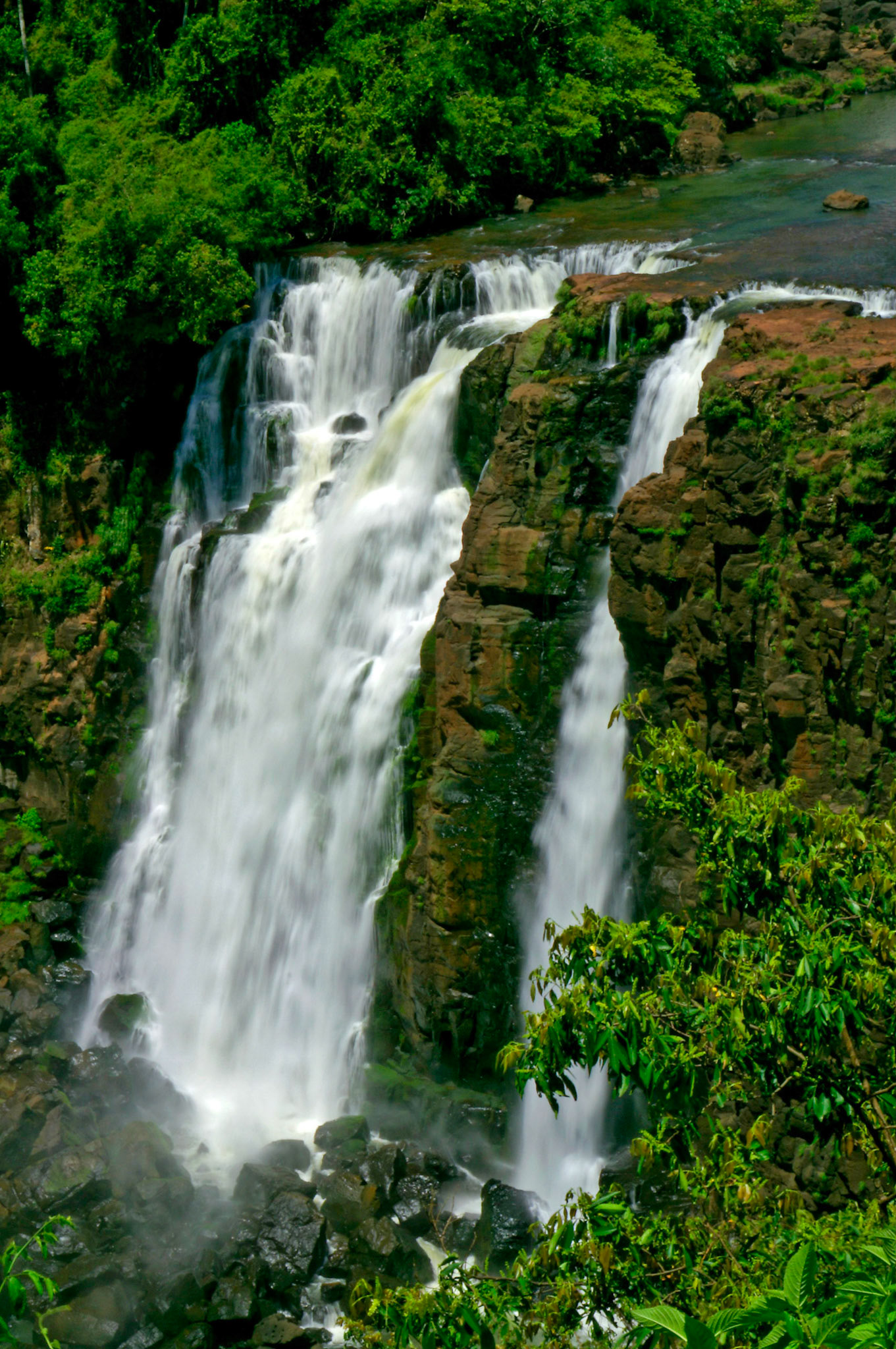 KONICA MINOLTA DIGITAL CAMERA