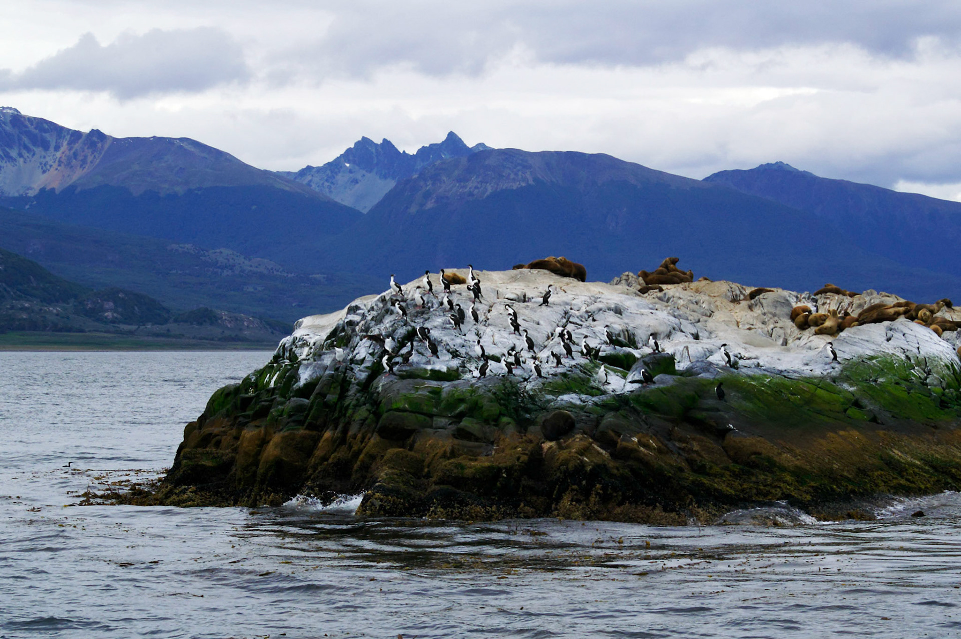 KONICA MINOLTA DIGITAL CAMERA