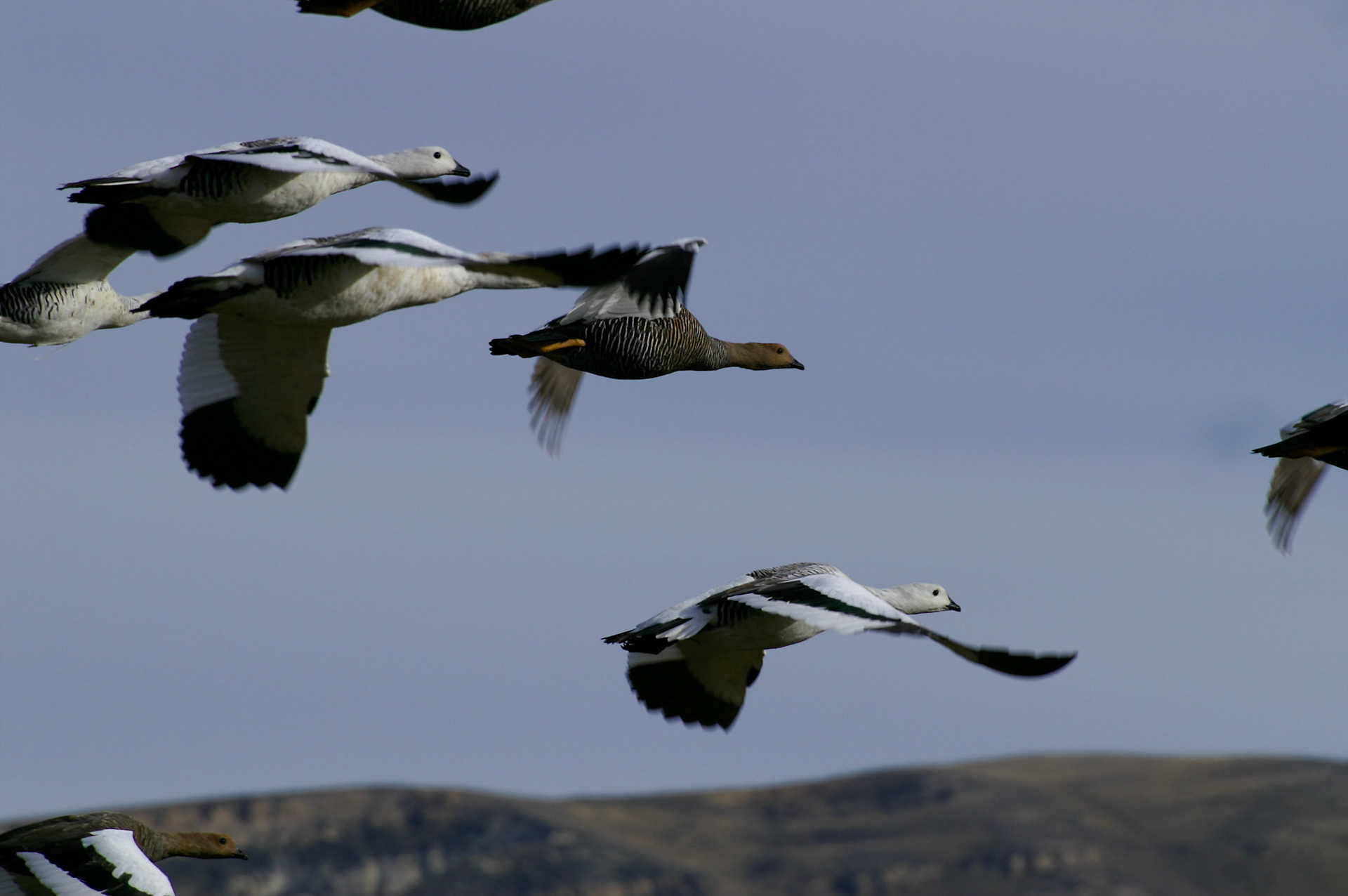 KONICA MINOLTA DIGITAL CAMERA