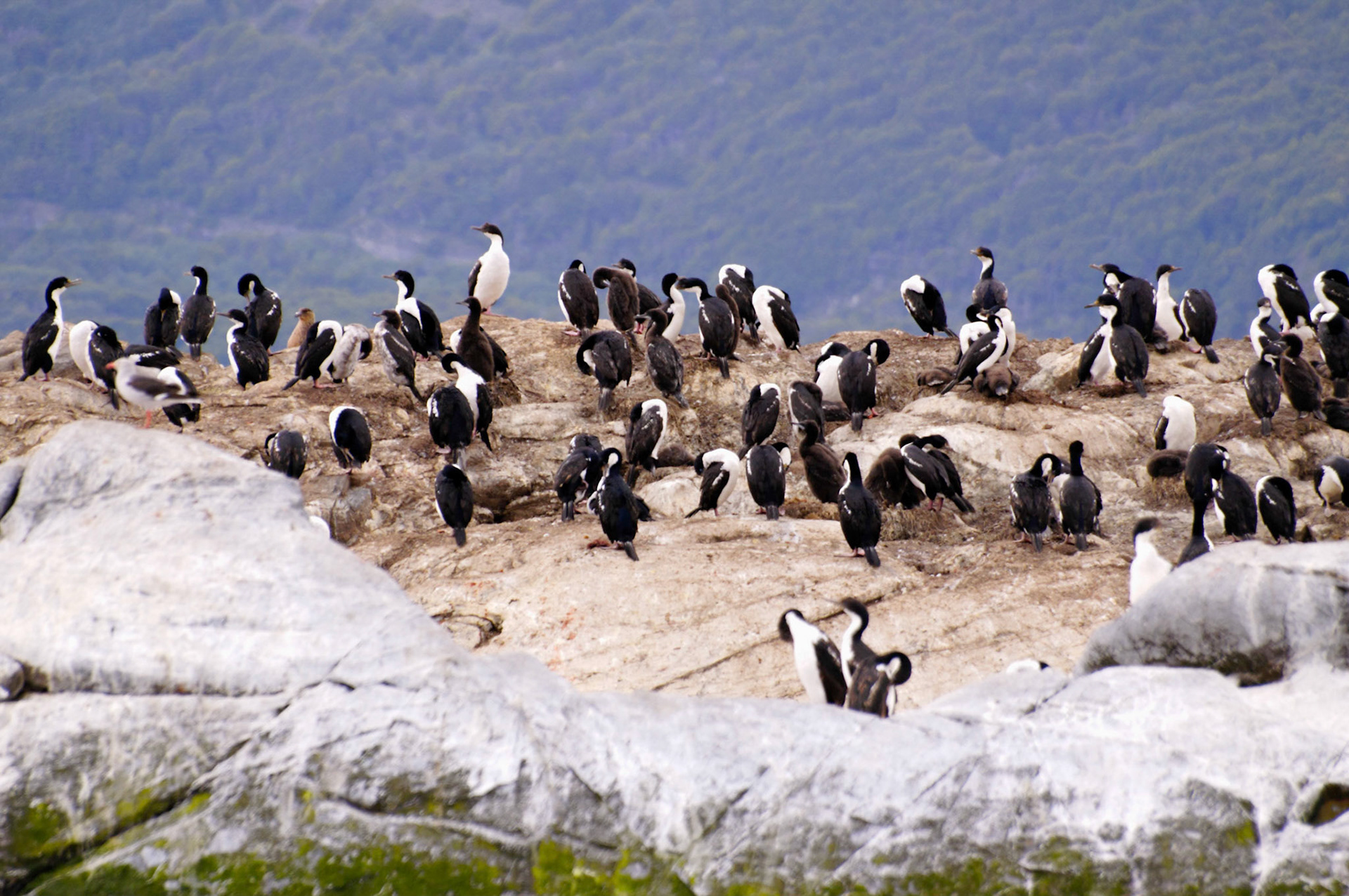 KONICA MINOLTA DIGITAL CAMERA