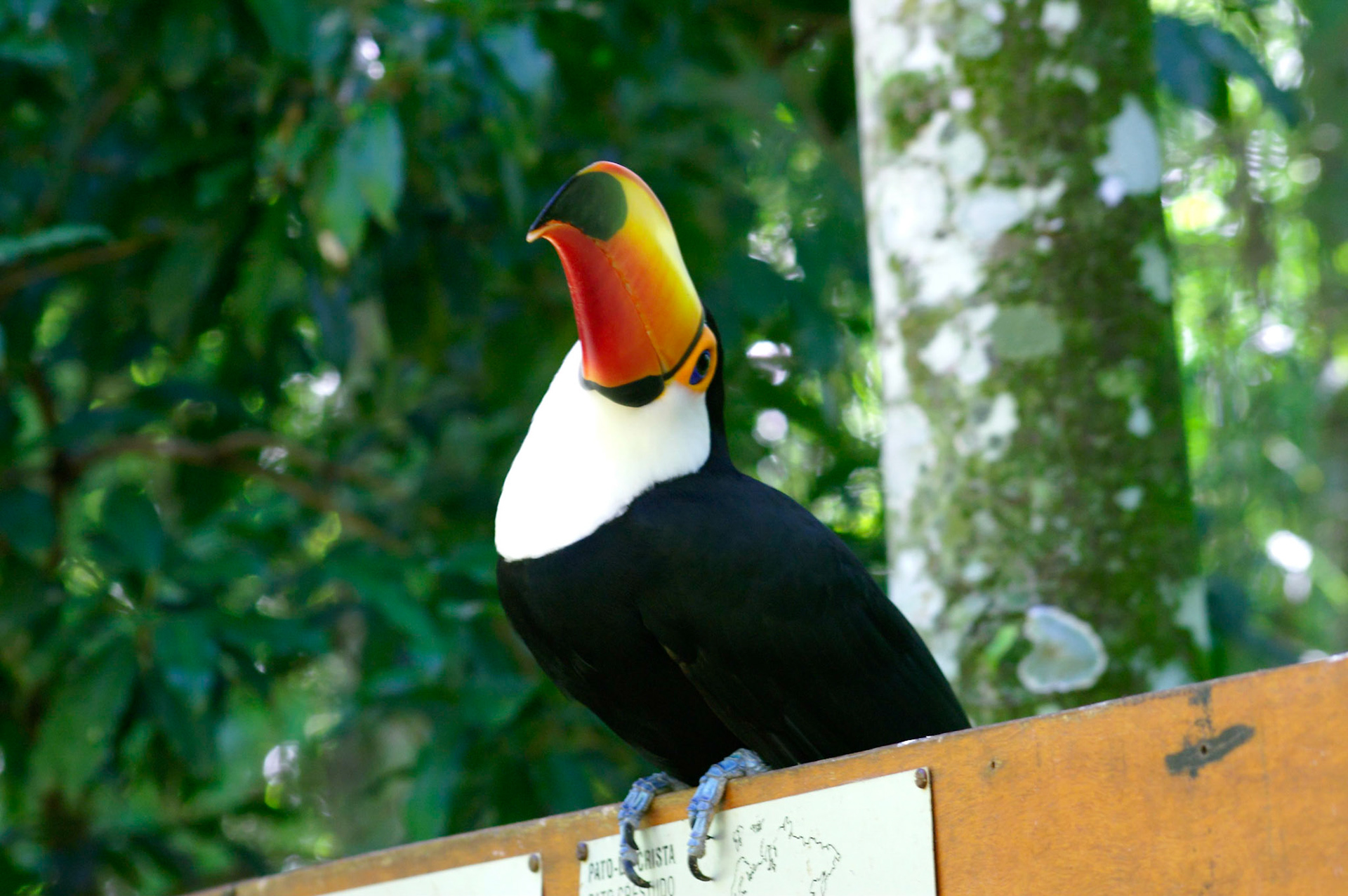 KONICA MINOLTA DIGITAL CAMERA