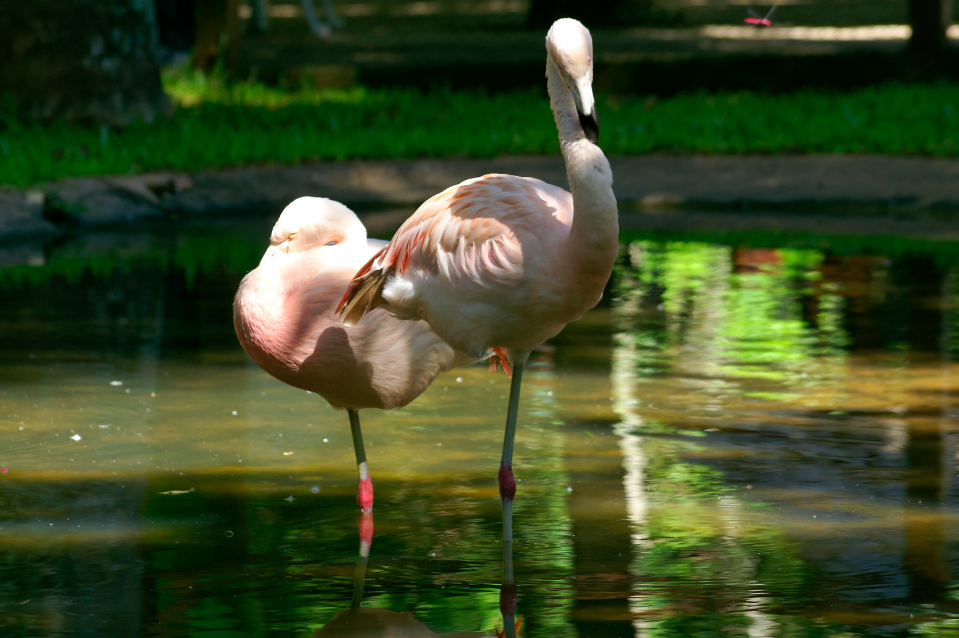 KONICA MINOLTA DIGITAL CAMERA