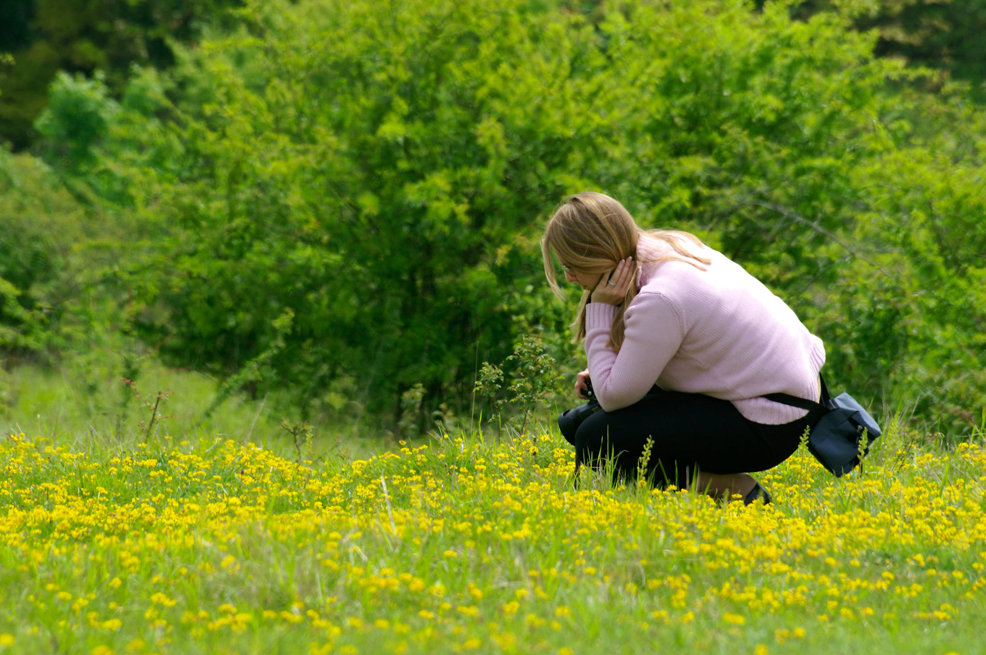 KONICA MINOLTA DIGITAL CAMERA