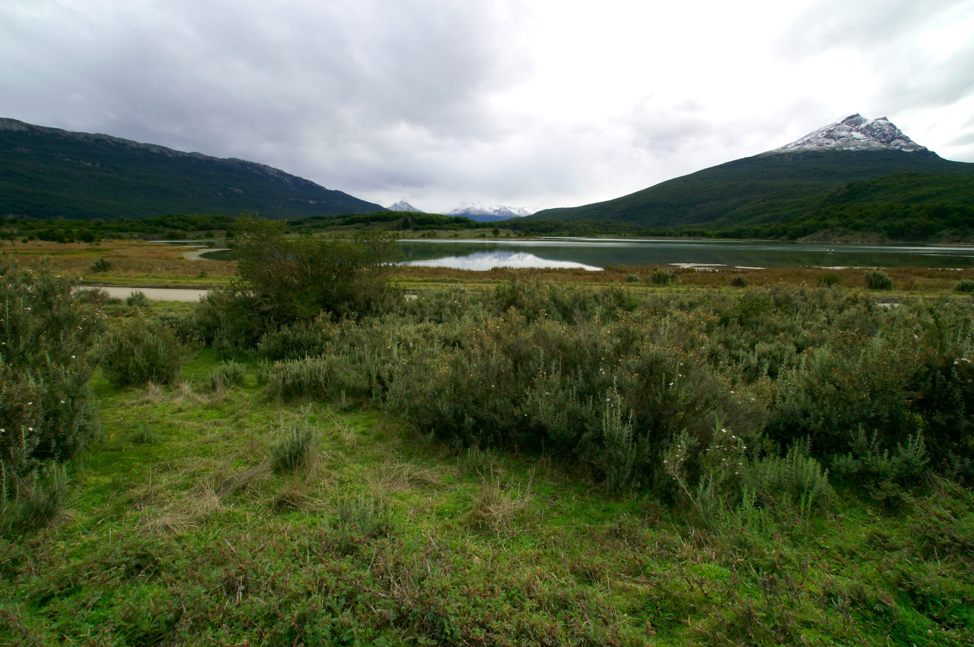 KONICA MINOLTA DIGITAL CAMERA