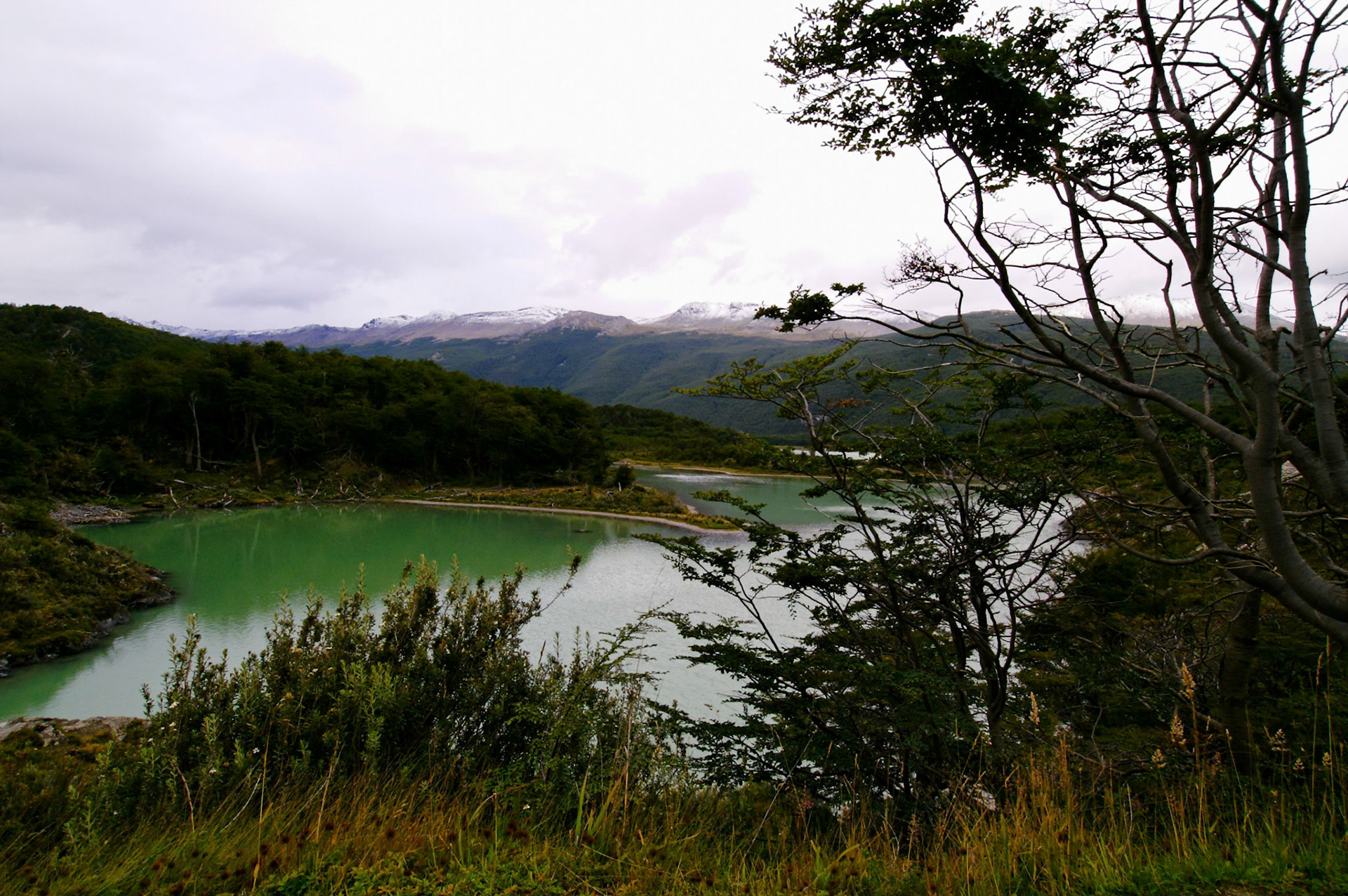 KONICA MINOLTA DIGITAL CAMERA