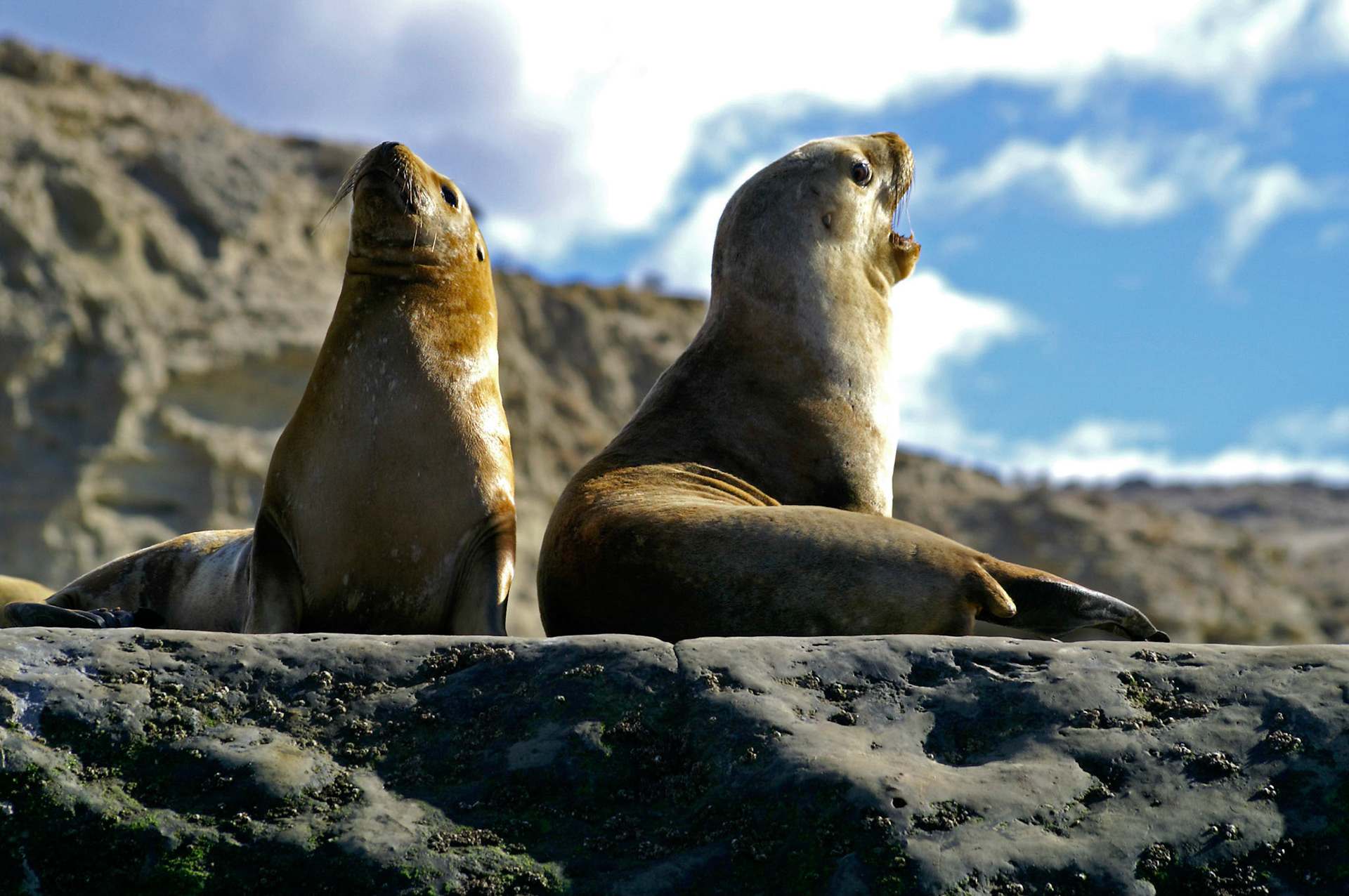 KONICA MINOLTA DIGITAL CAMERA