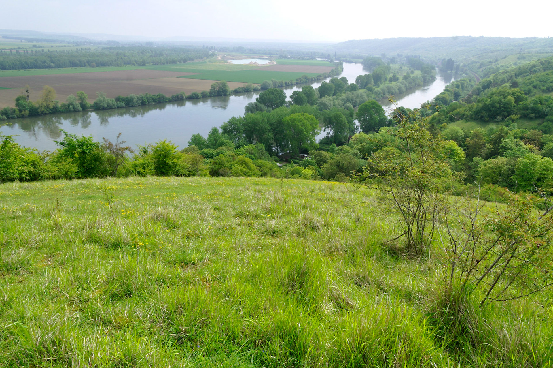 KONICA MINOLTA DIGITAL CAMERA