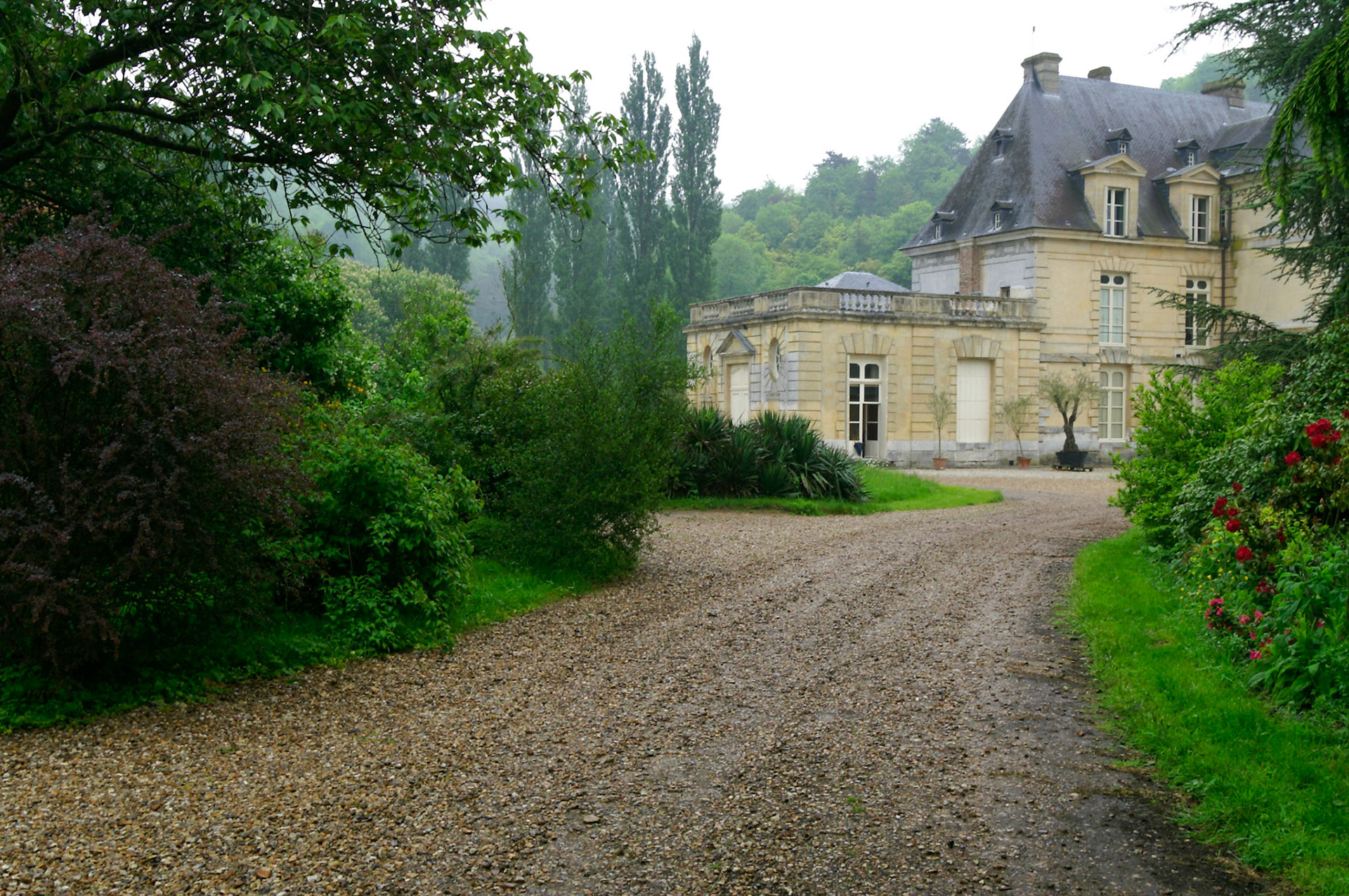 KONICA MINOLTA DIGITAL CAMERA