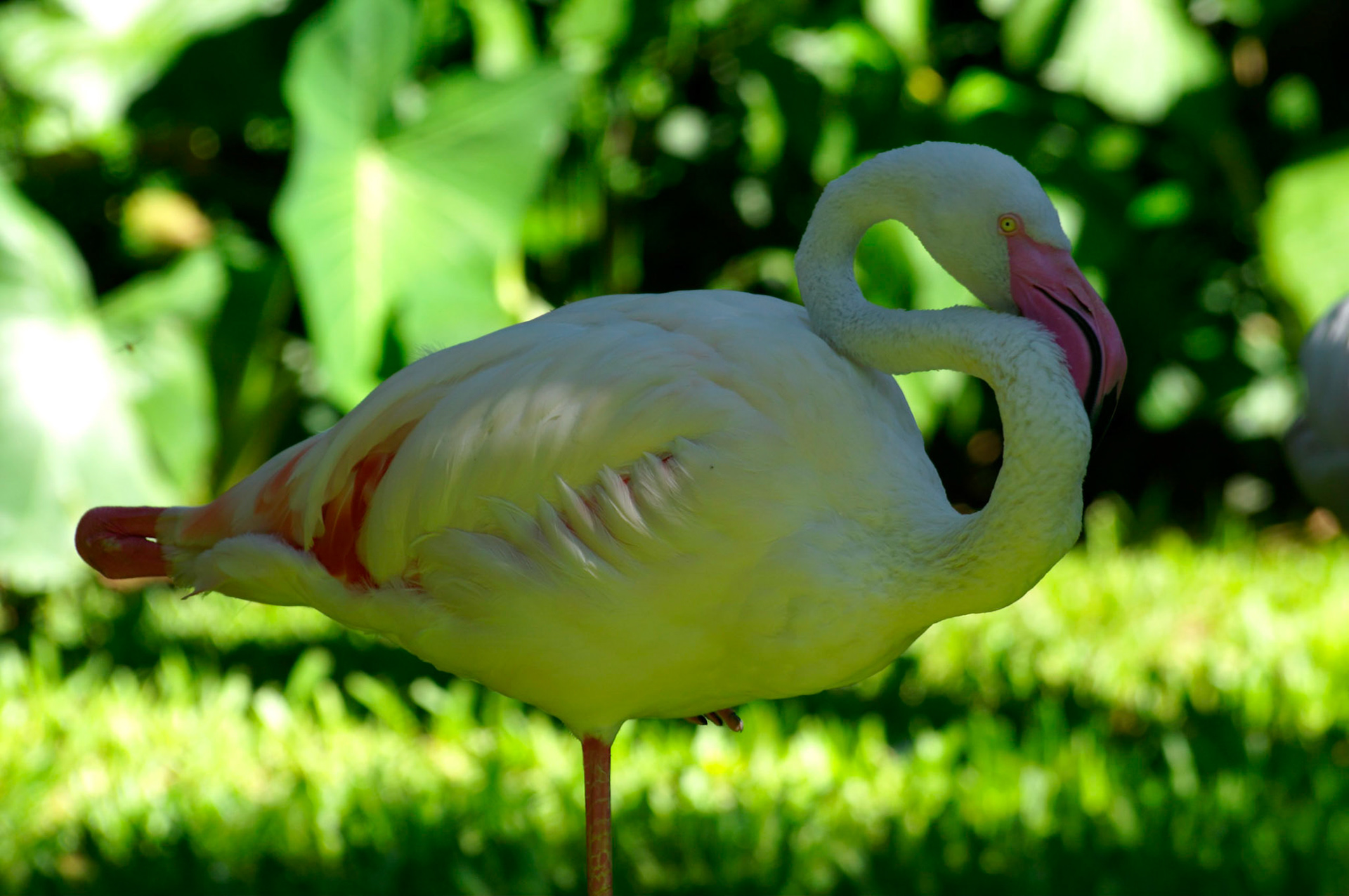 KONICA MINOLTA DIGITAL CAMERA