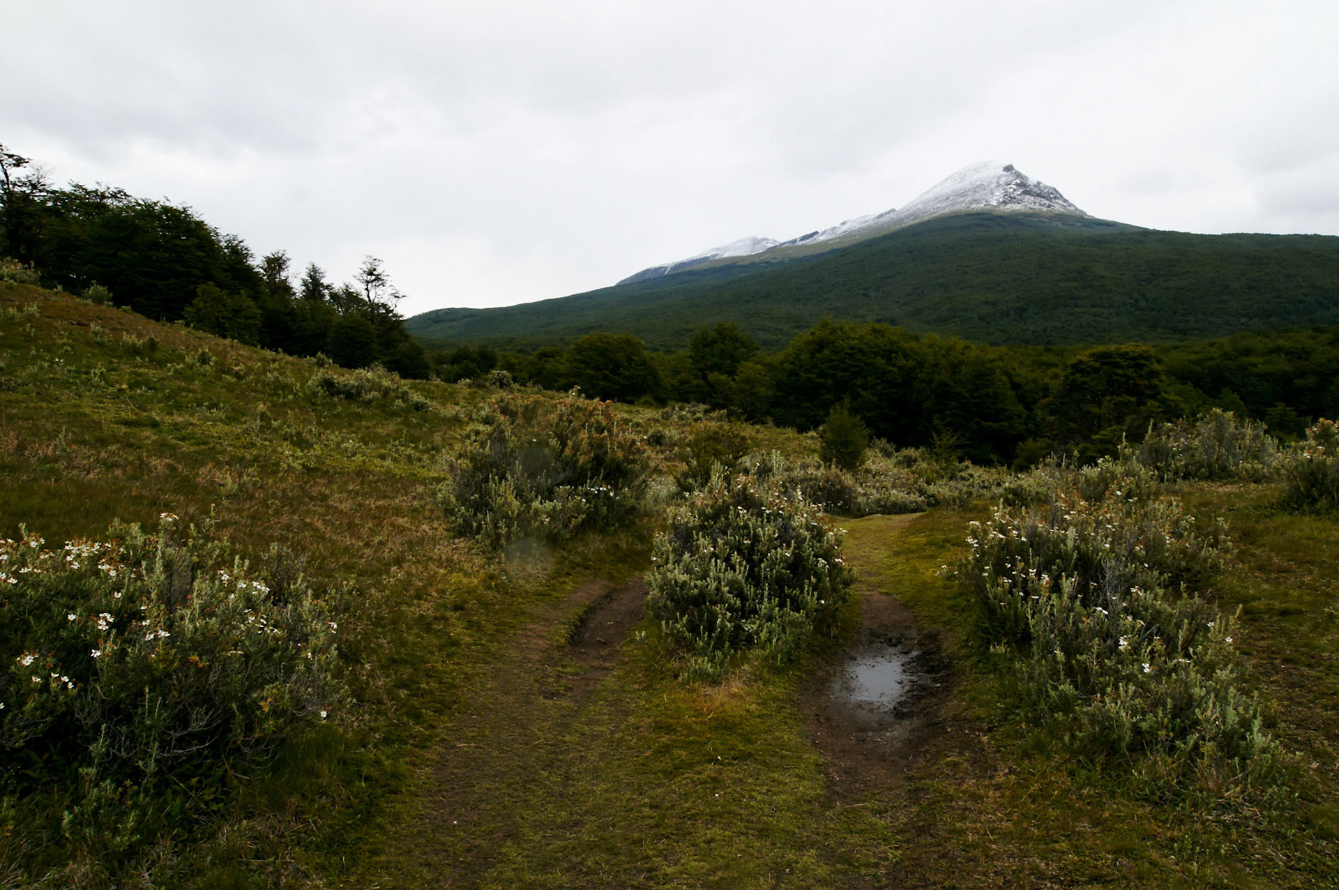 KONICA MINOLTA DIGITAL CAMERA