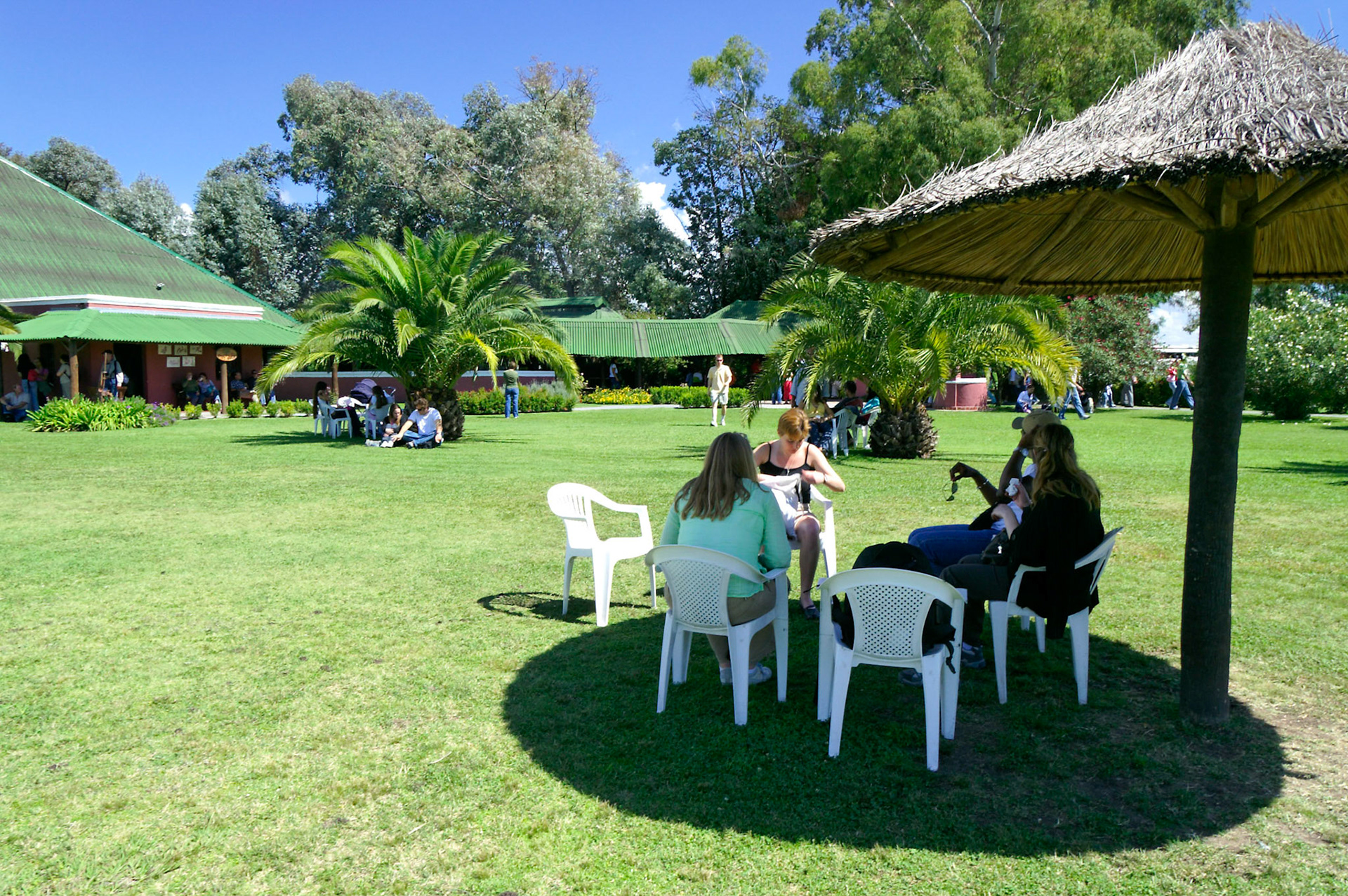 KONICA MINOLTA DIGITAL CAMERA