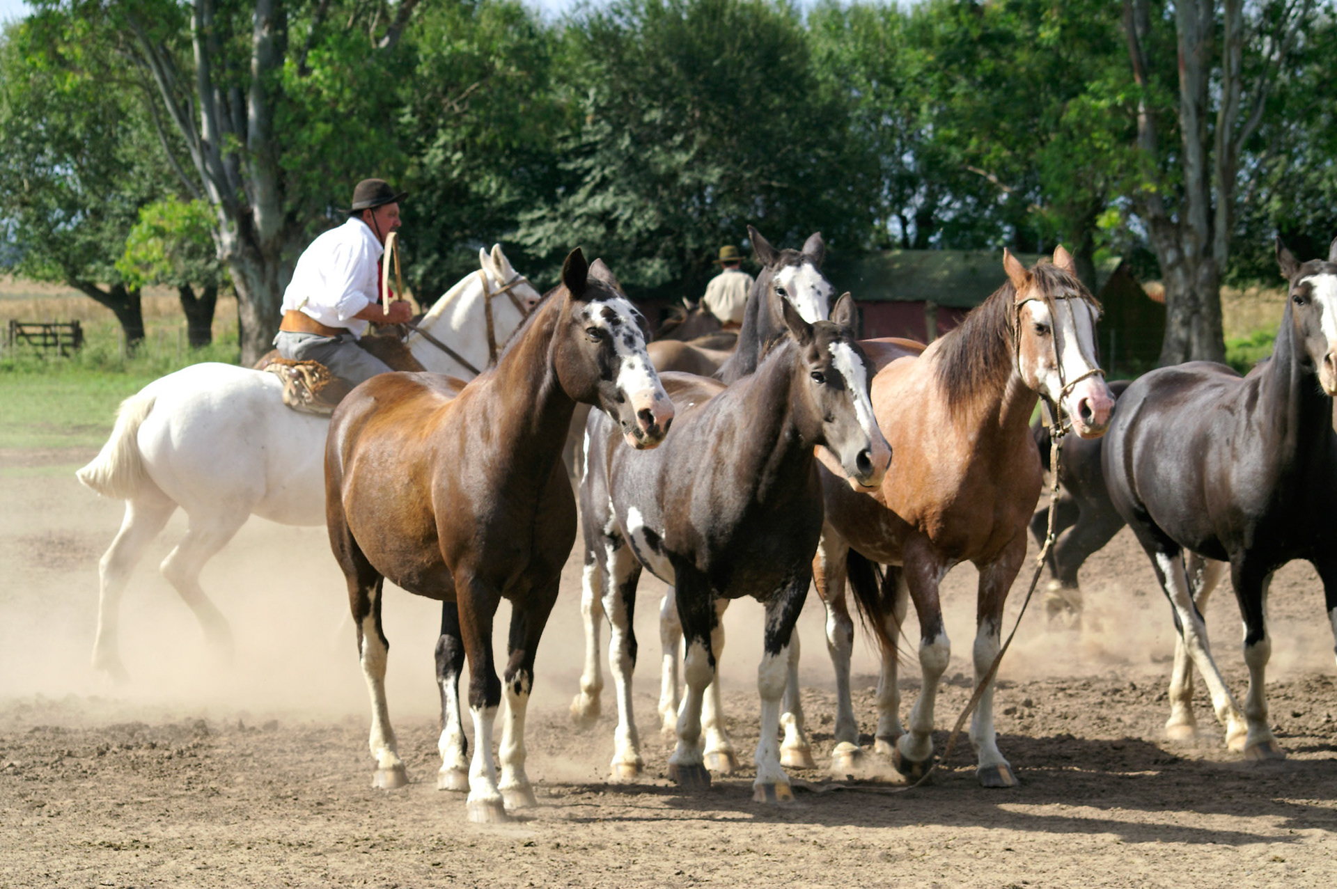 KONICA MINOLTA DIGITAL CAMERA