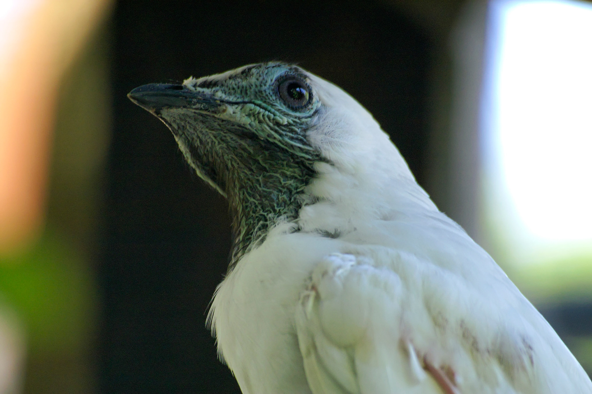 KONICA MINOLTA DIGITAL CAMERA