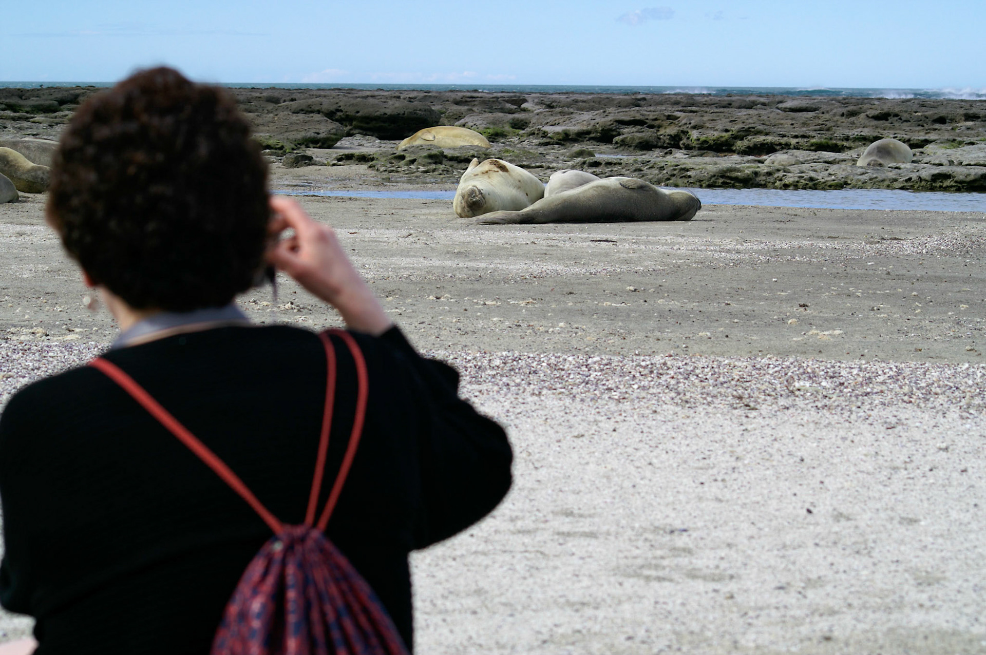 KONICA MINOLTA DIGITAL CAMERA