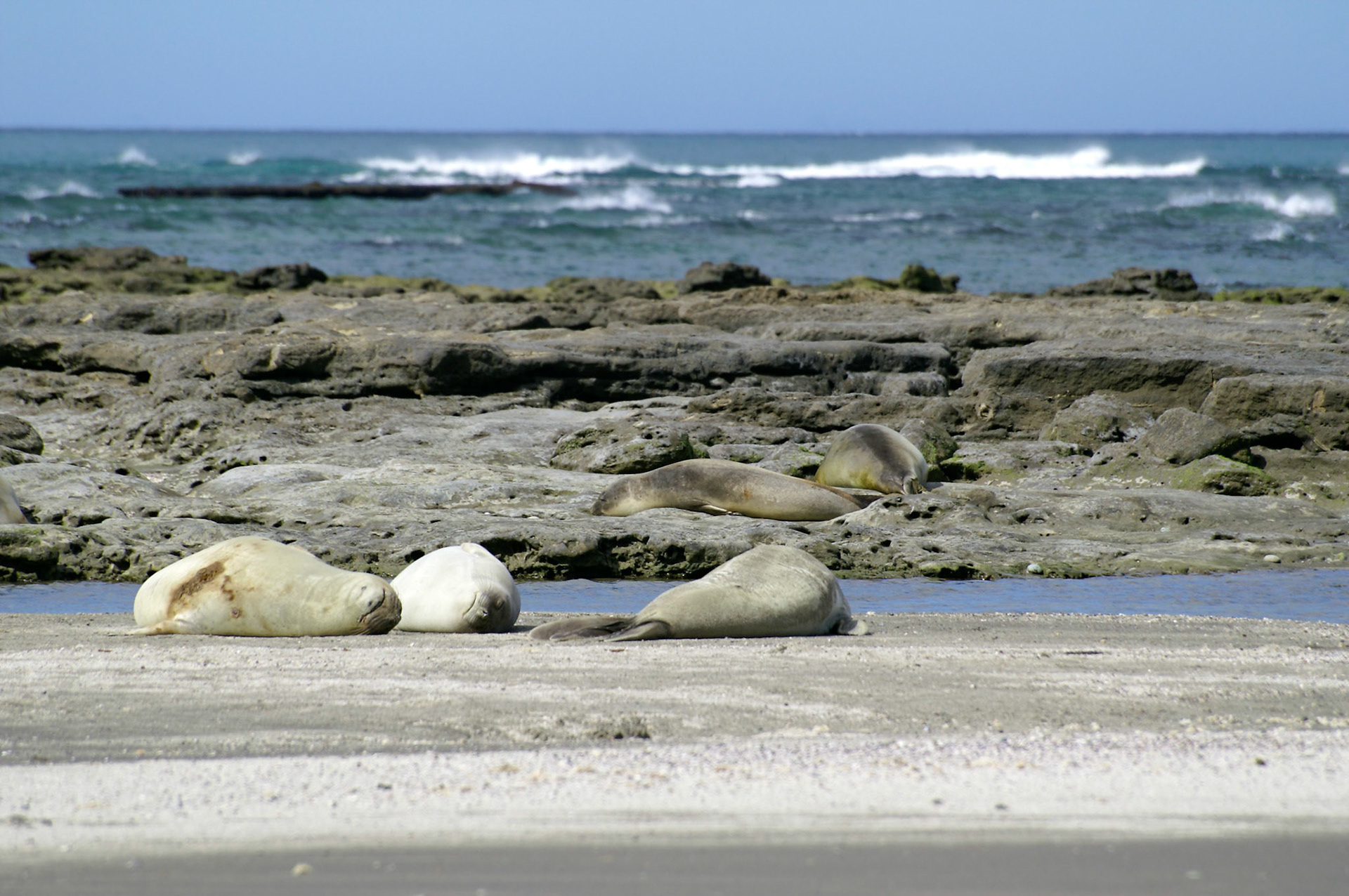 KONICA MINOLTA DIGITAL CAMERA