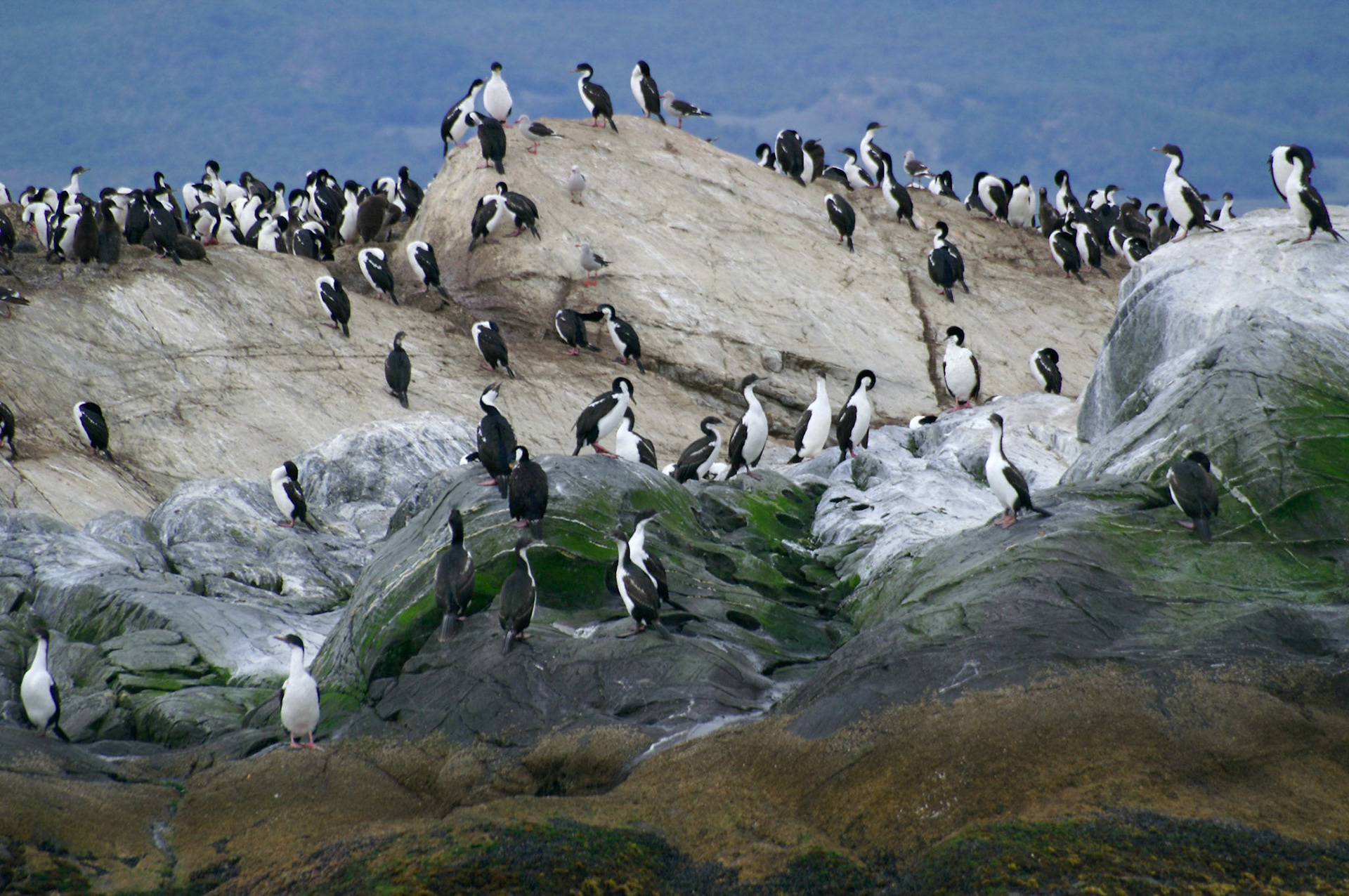 KONICA MINOLTA DIGITAL CAMERA