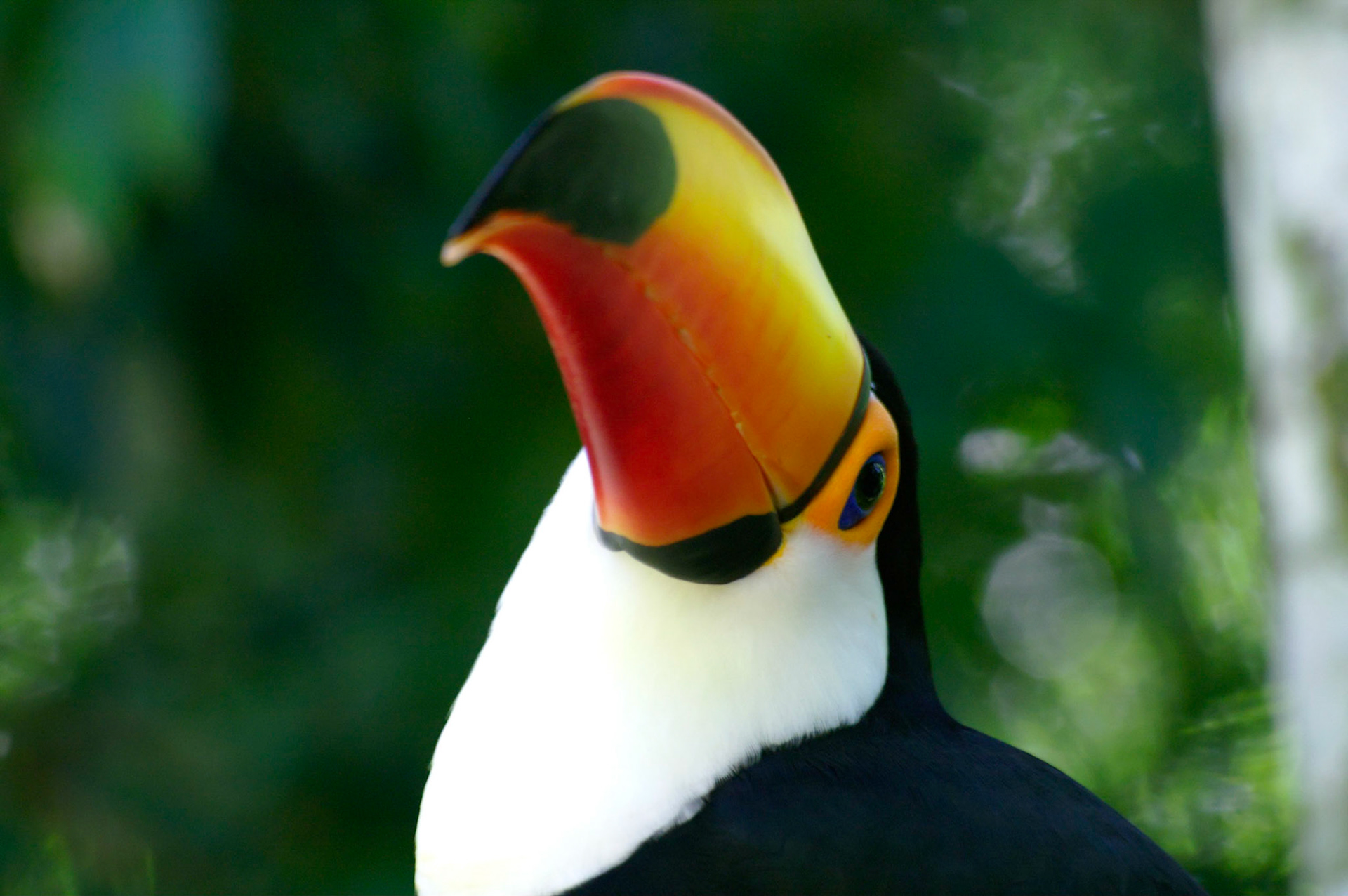 KONICA MINOLTA DIGITAL CAMERA