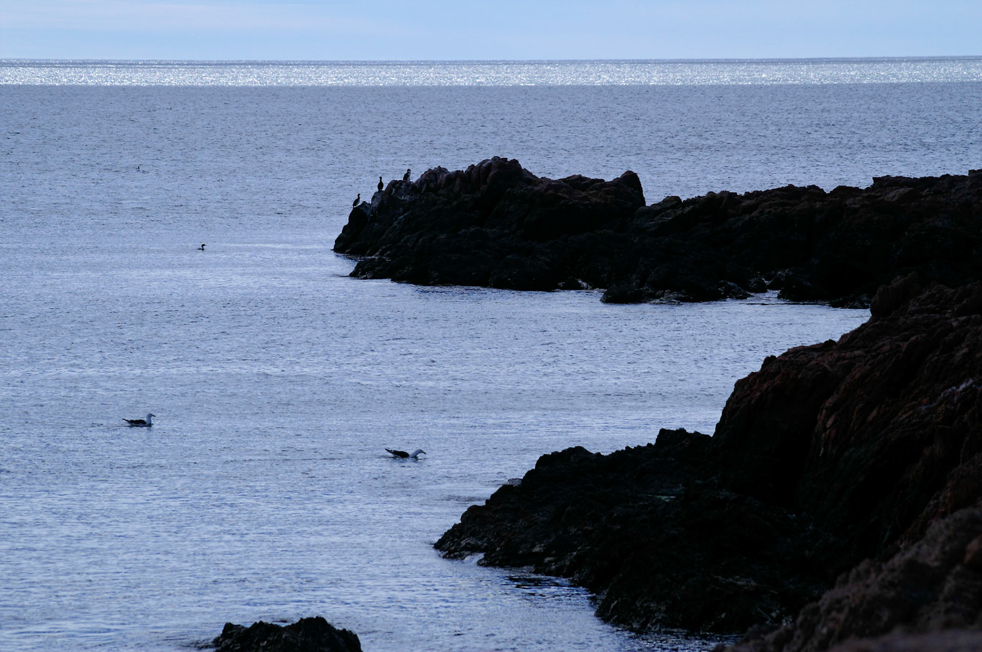 KONICA MINOLTA DIGITAL CAMERA