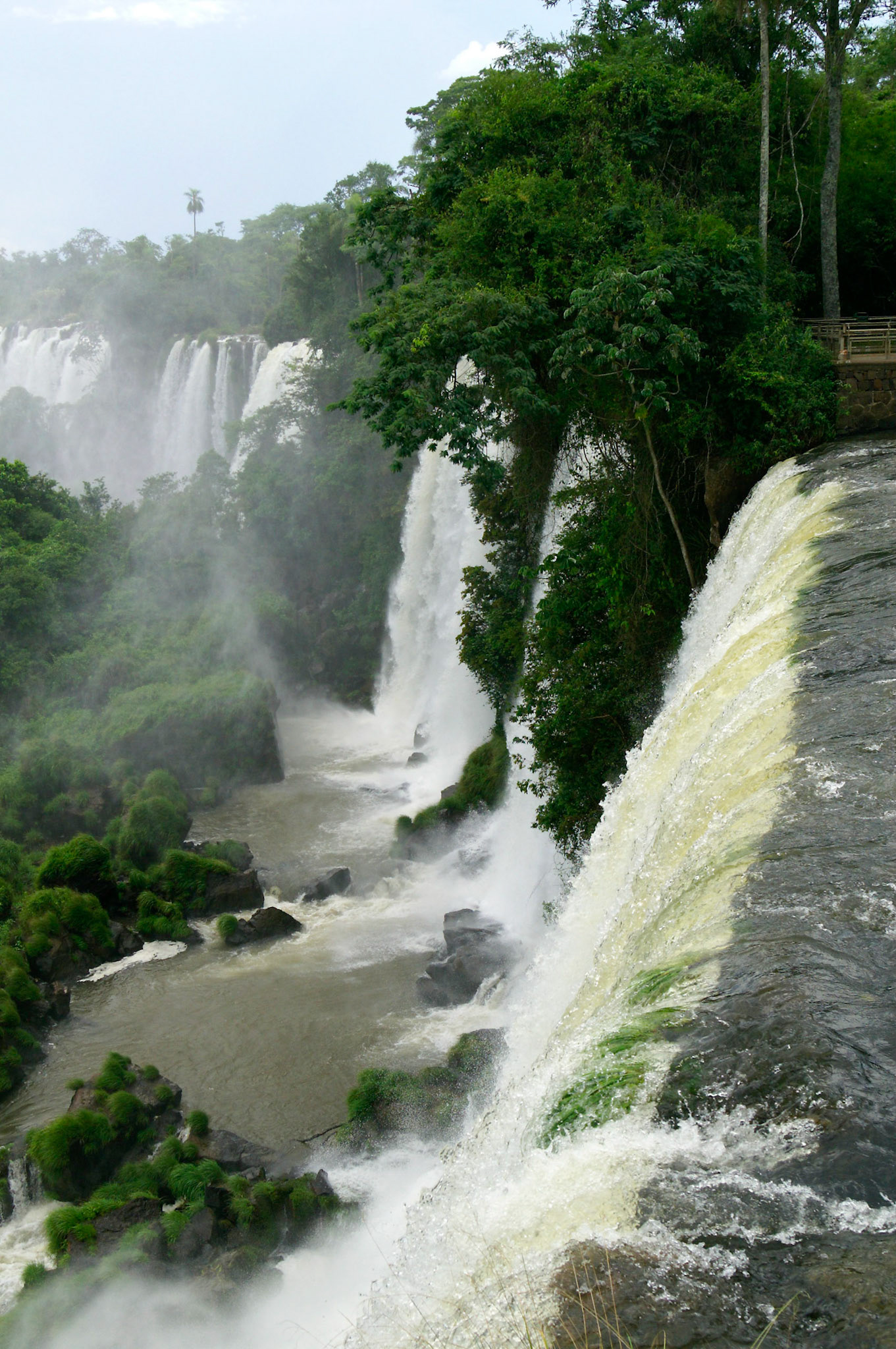 KONICA MINOLTA DIGITAL CAMERA