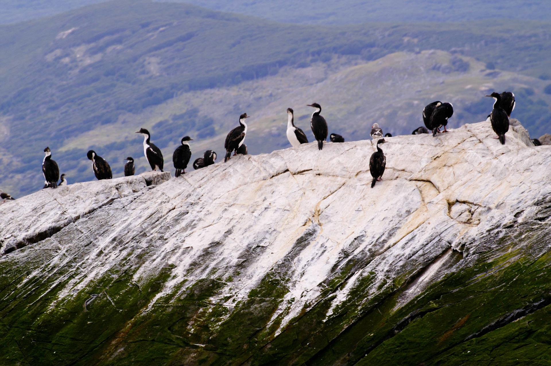 KONICA MINOLTA DIGITAL CAMERA