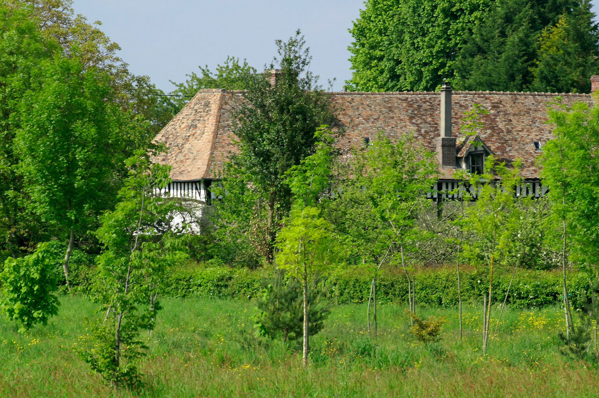 KONICA MINOLTA DIGITAL CAMERA