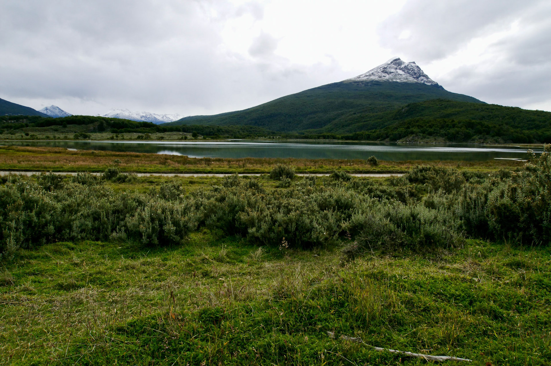 KONICA MINOLTA DIGITAL CAMERA