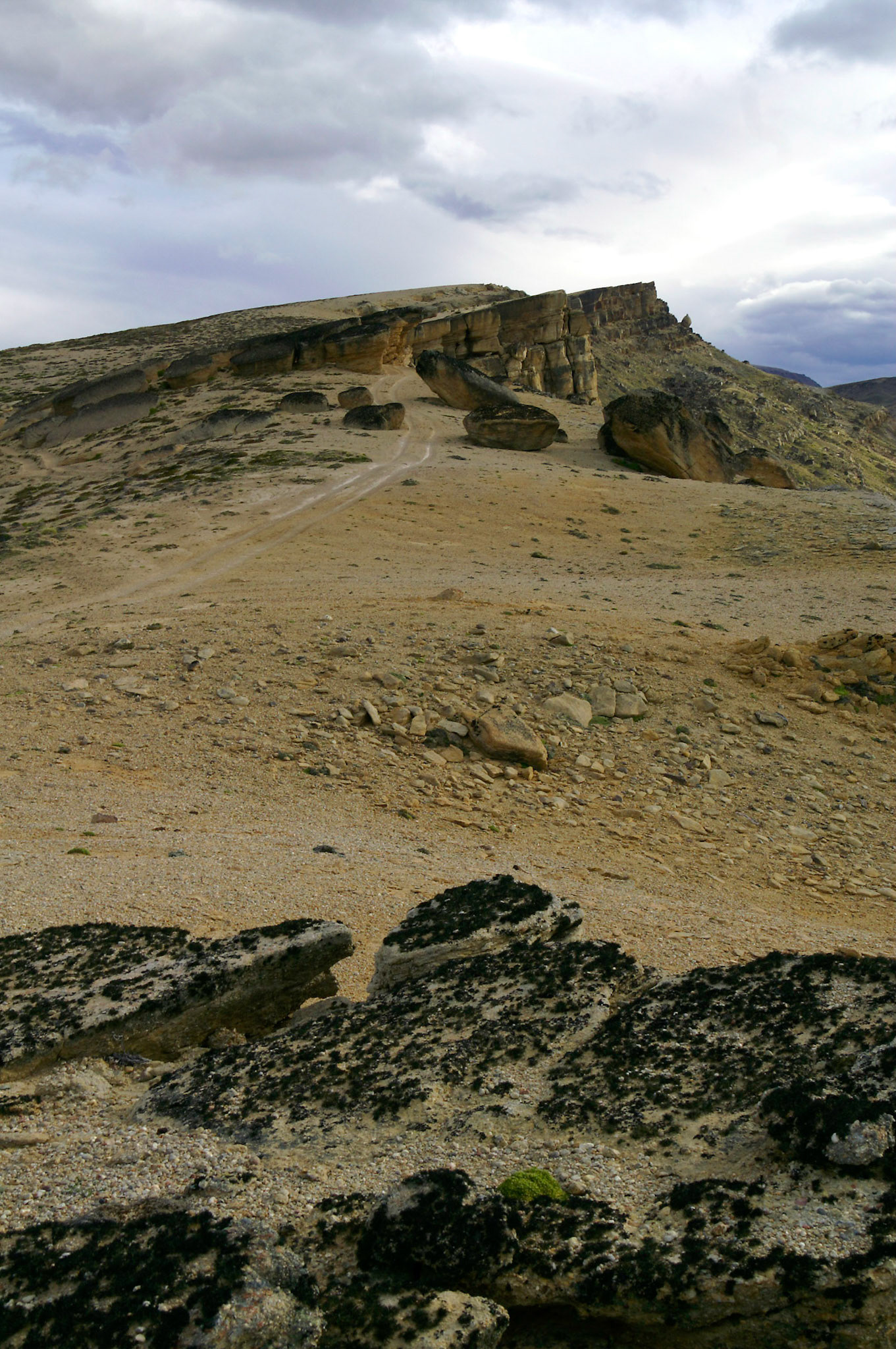 KONICA MINOLTA DIGITAL CAMERA