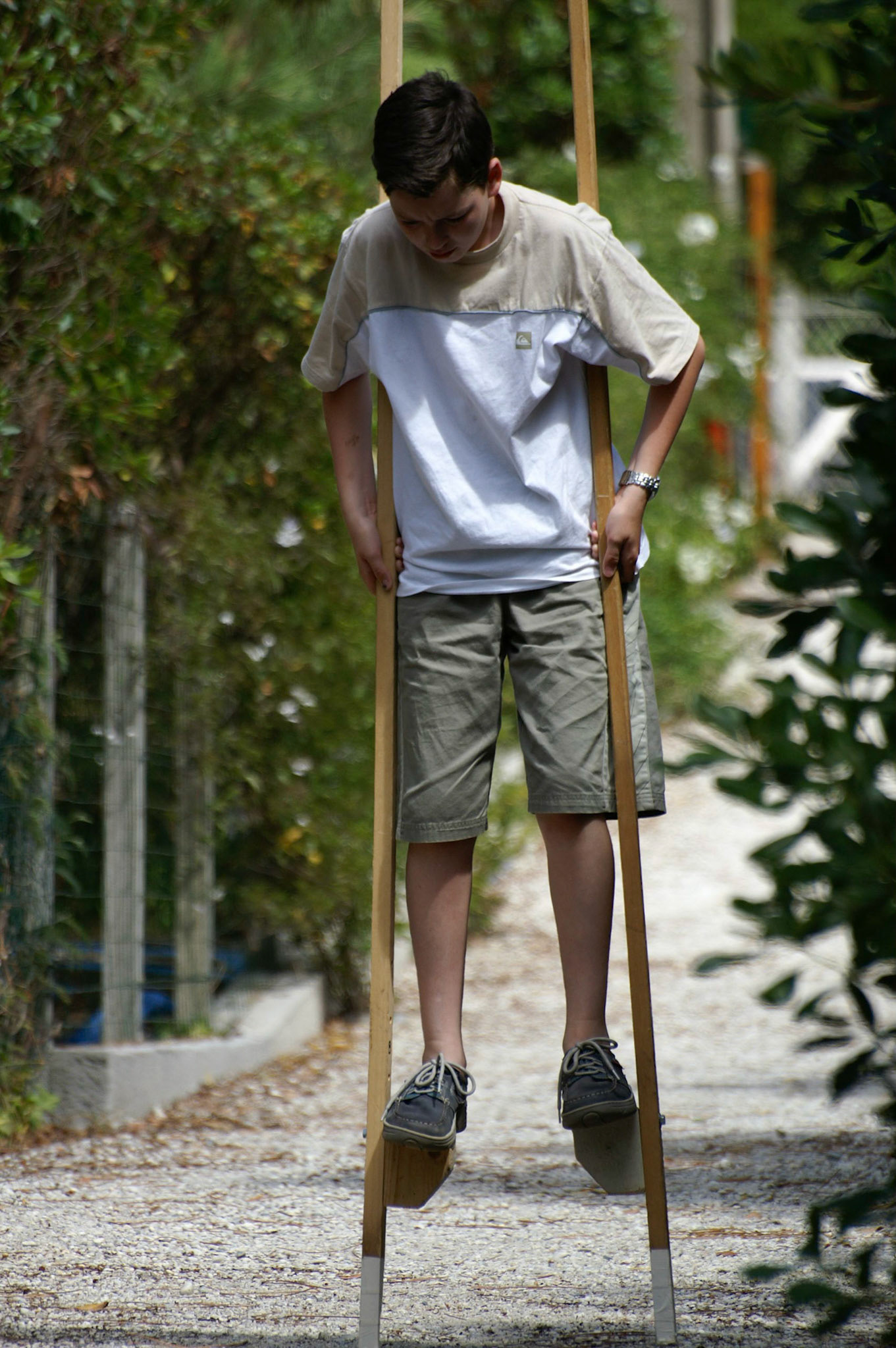 KONICA MINOLTA DIGITAL CAMERA