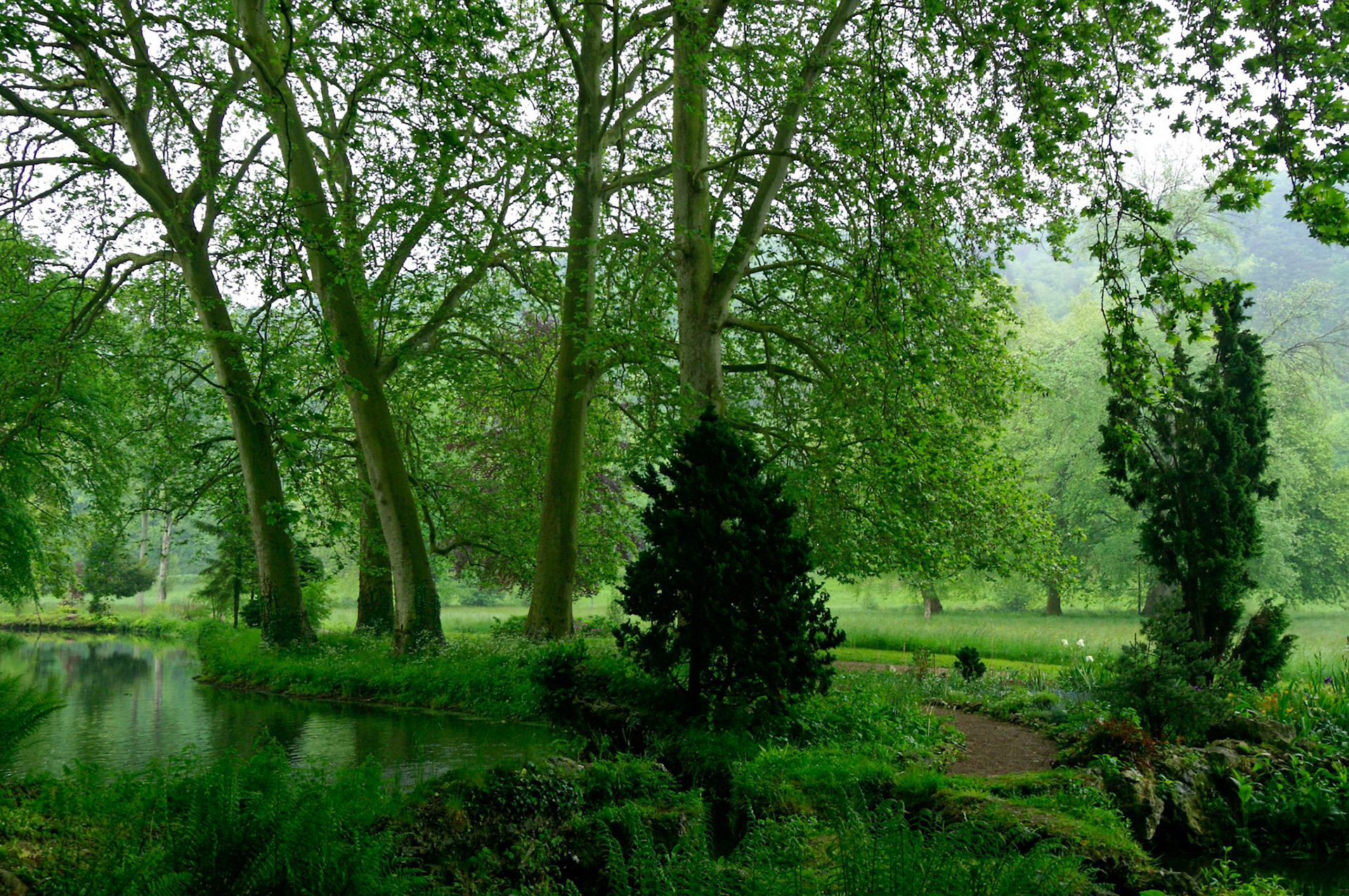 KONICA MINOLTA DIGITAL CAMERA