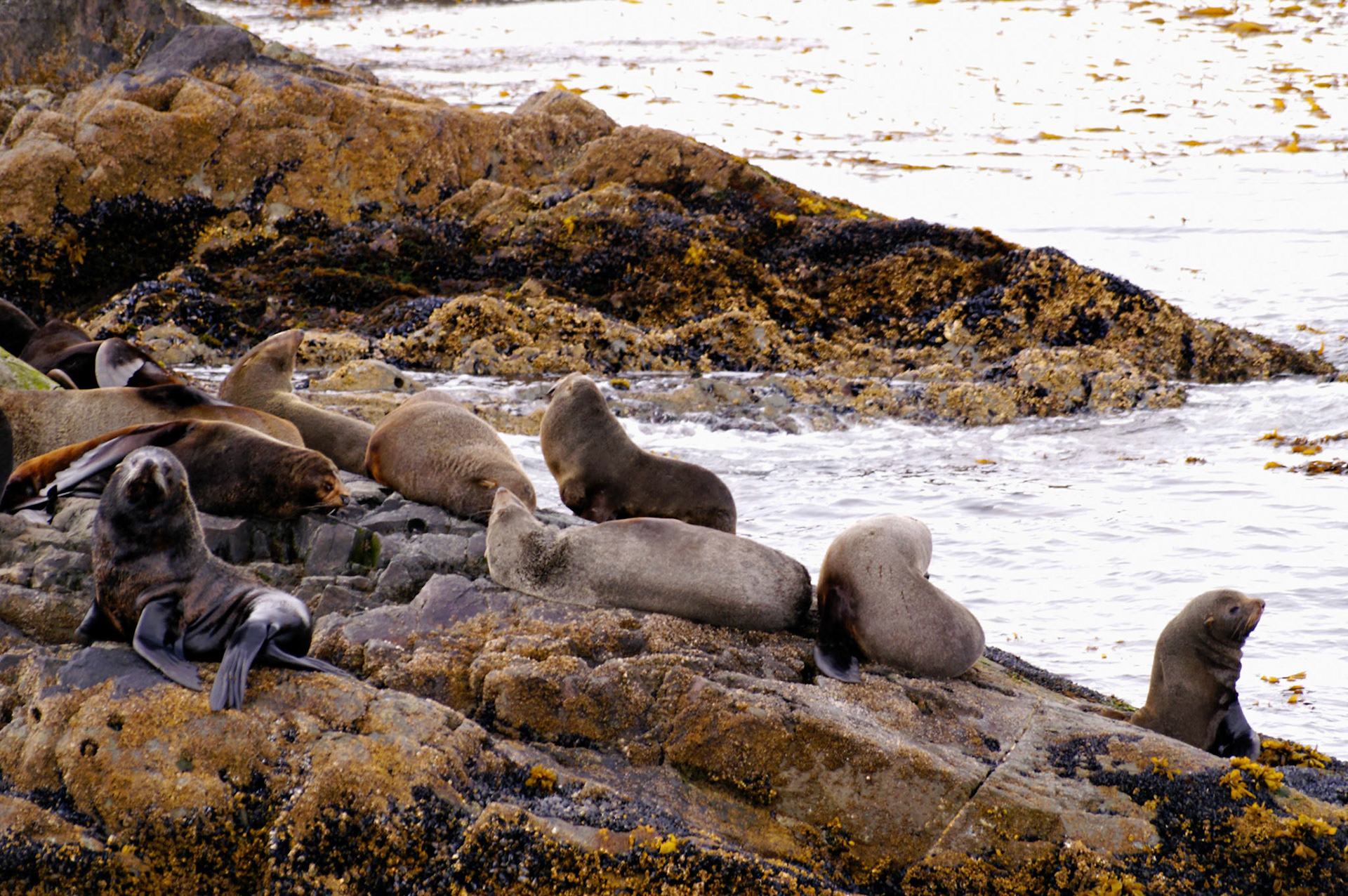 KONICA MINOLTA DIGITAL CAMERA