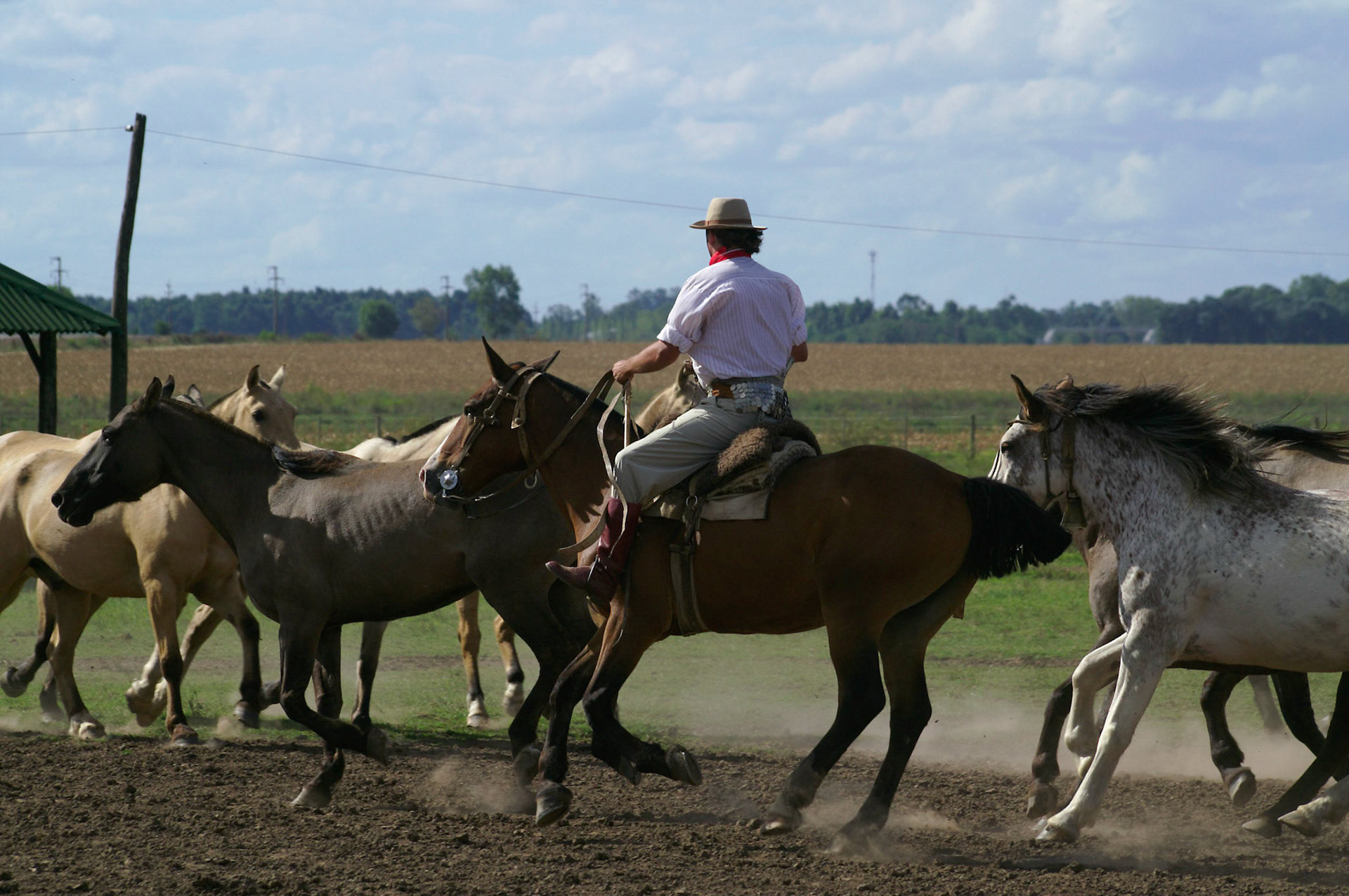 KONICA MINOLTA DIGITAL CAMERA