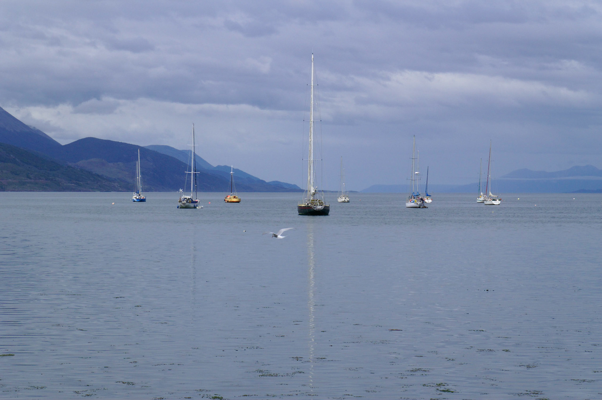 KONICA MINOLTA DIGITAL CAMERA