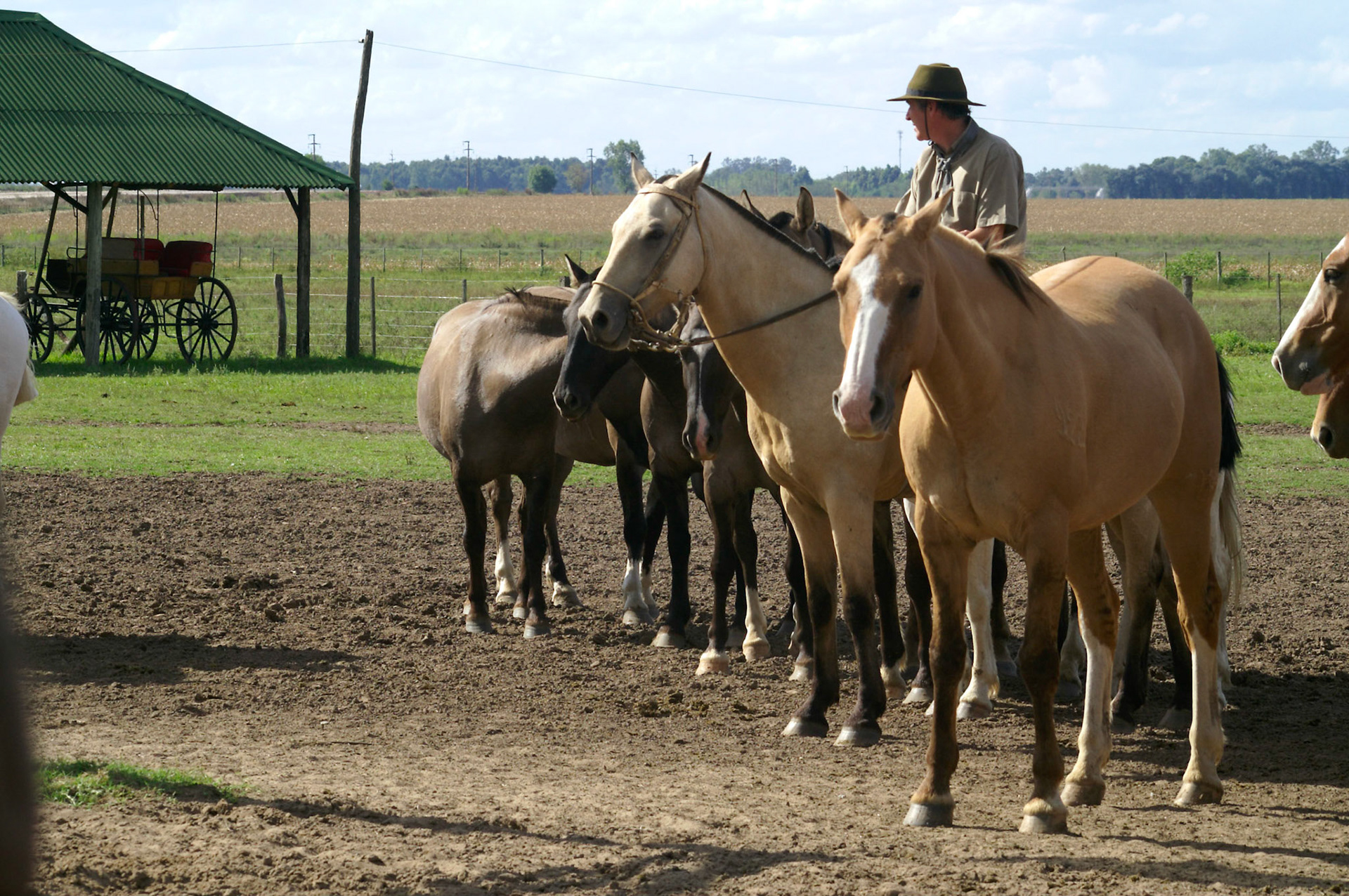 KONICA MINOLTA DIGITAL CAMERA