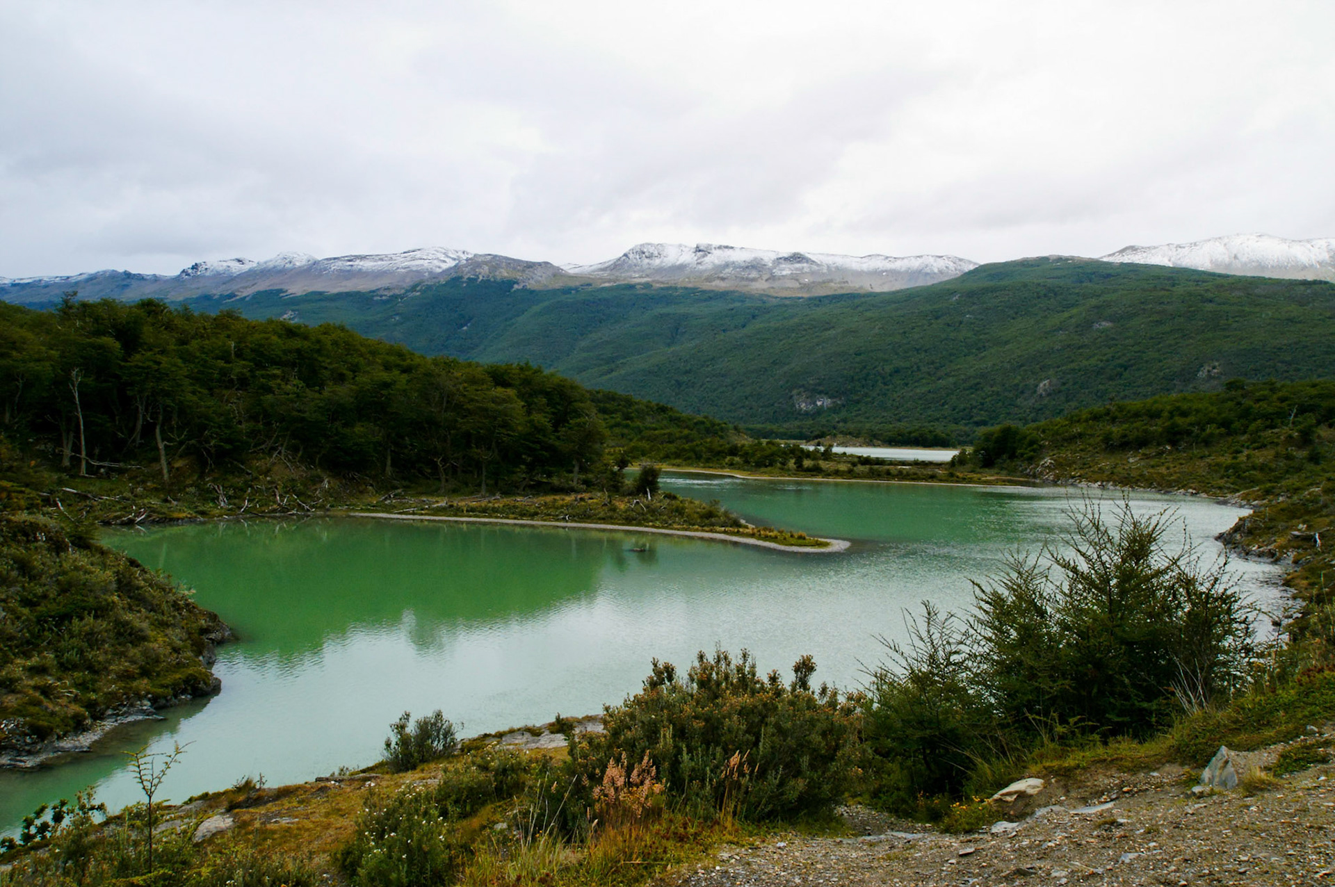 KONICA MINOLTA DIGITAL CAMERA