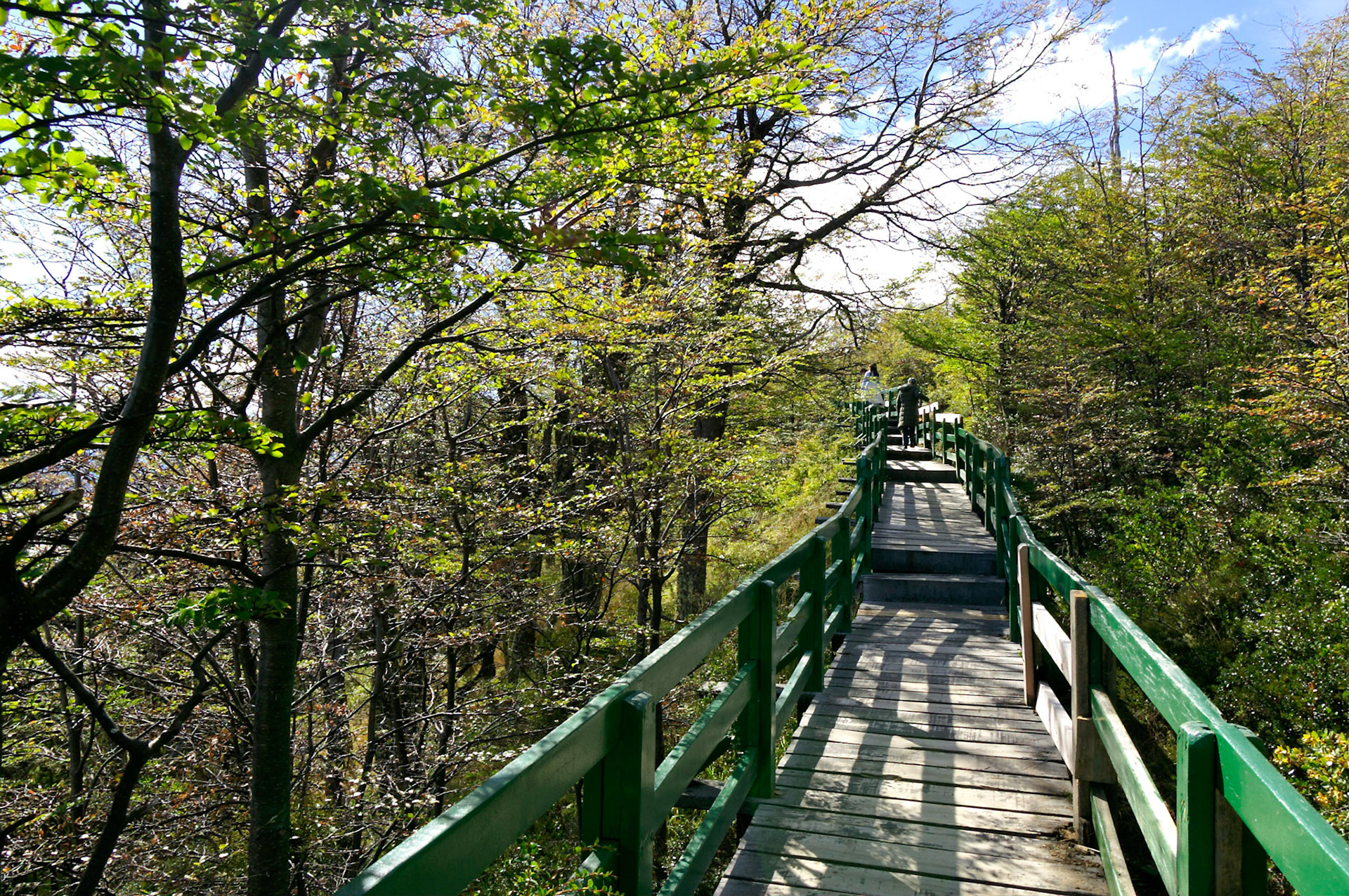 KONICA MINOLTA DIGITAL CAMERA