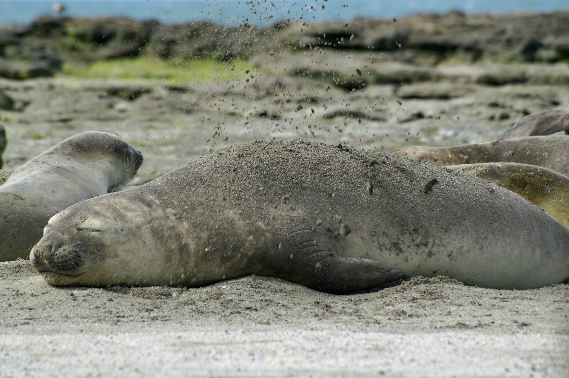 KONICA MINOLTA DIGITAL CAMERA