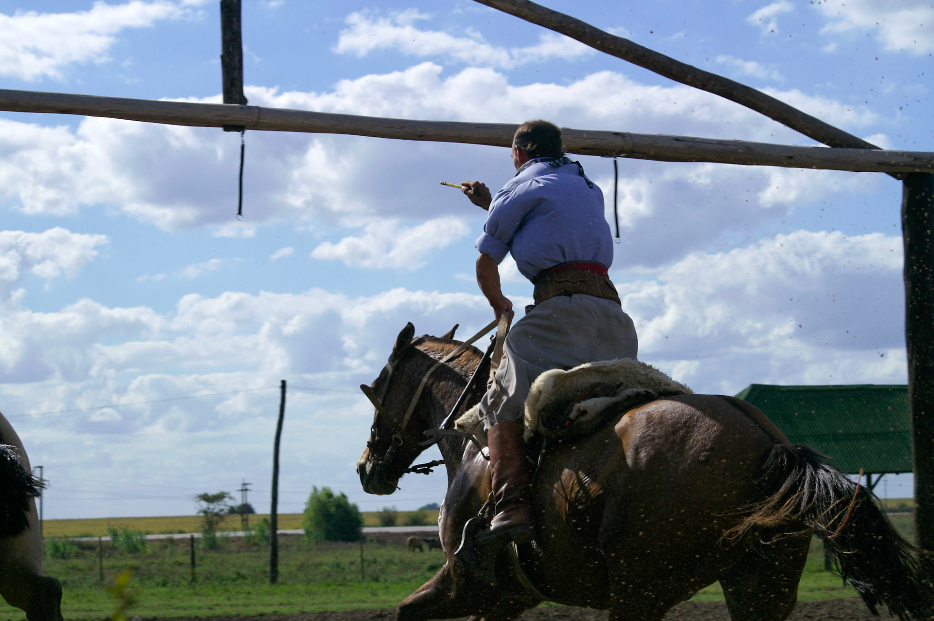 KONICA MINOLTA DIGITAL CAMERA