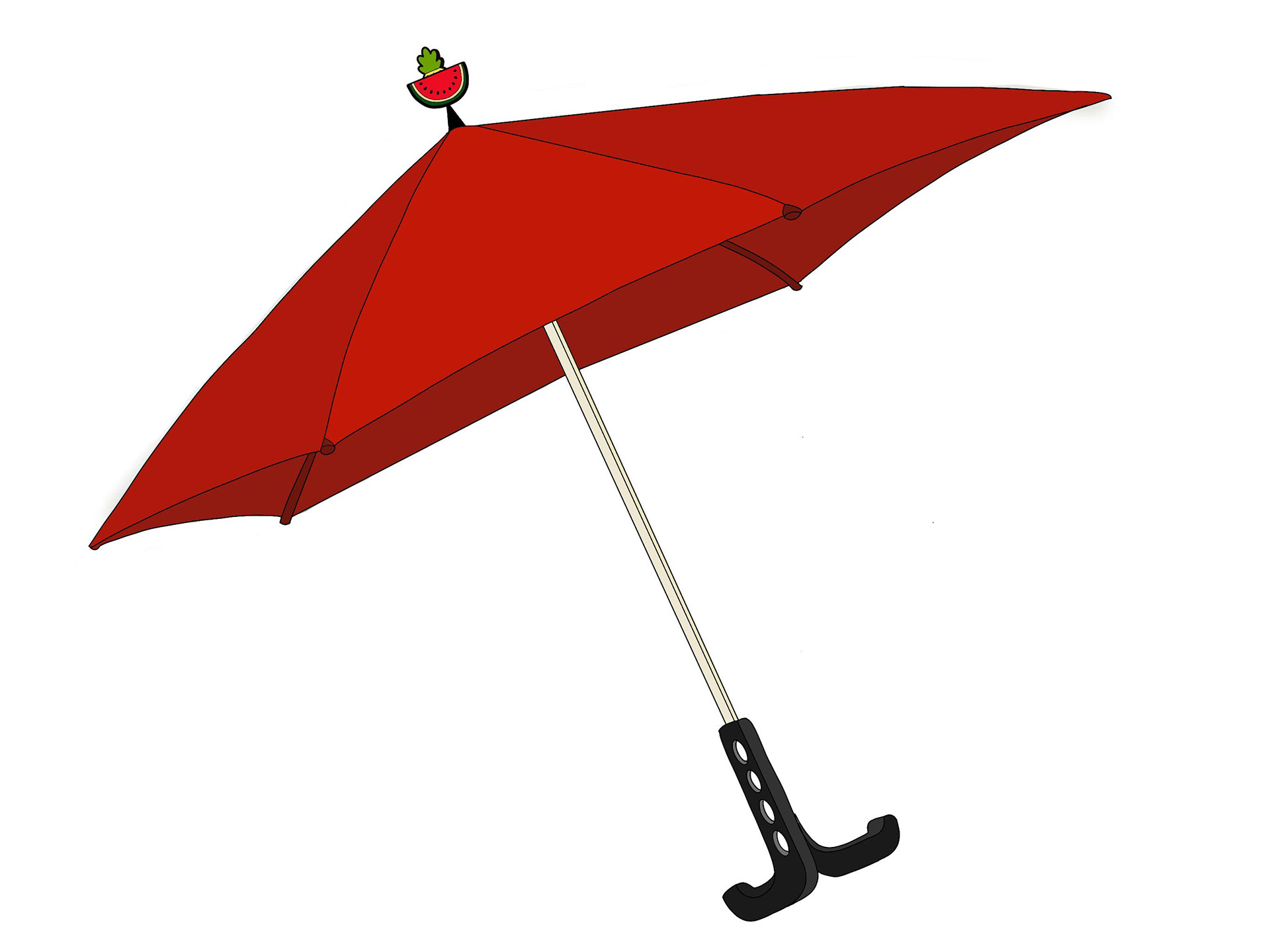 (4.1) Watermelon Charm