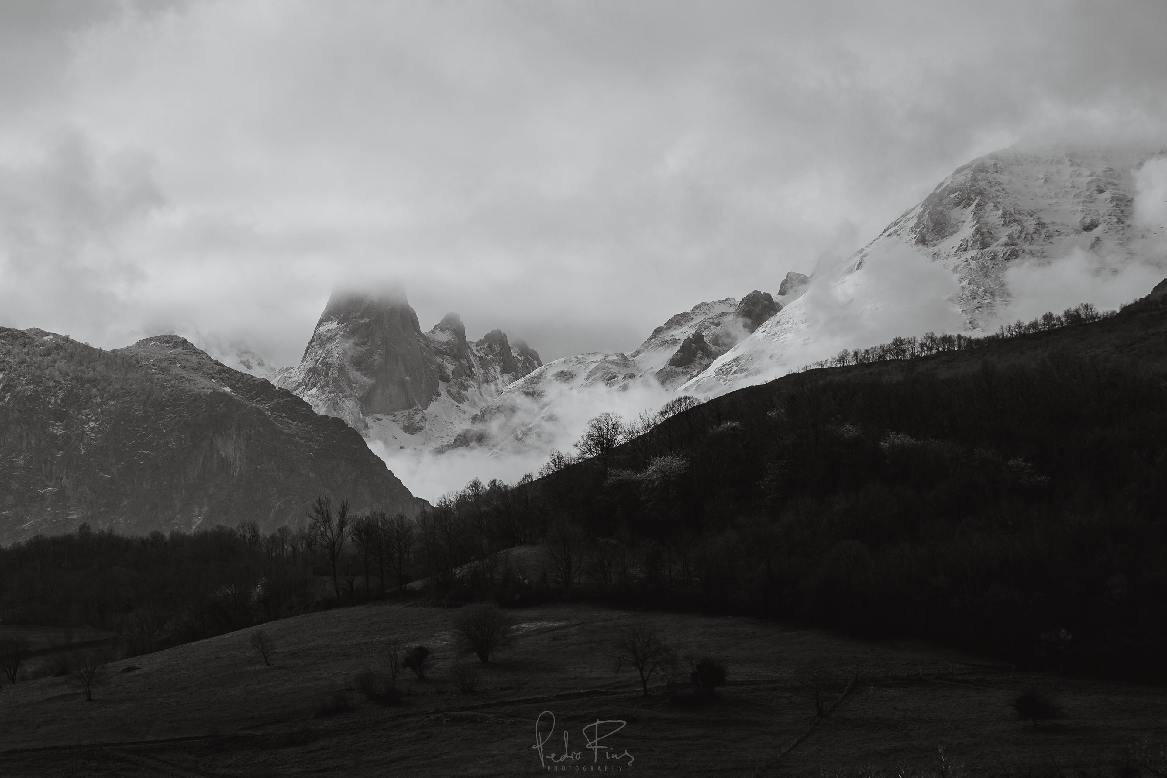 Picos4
