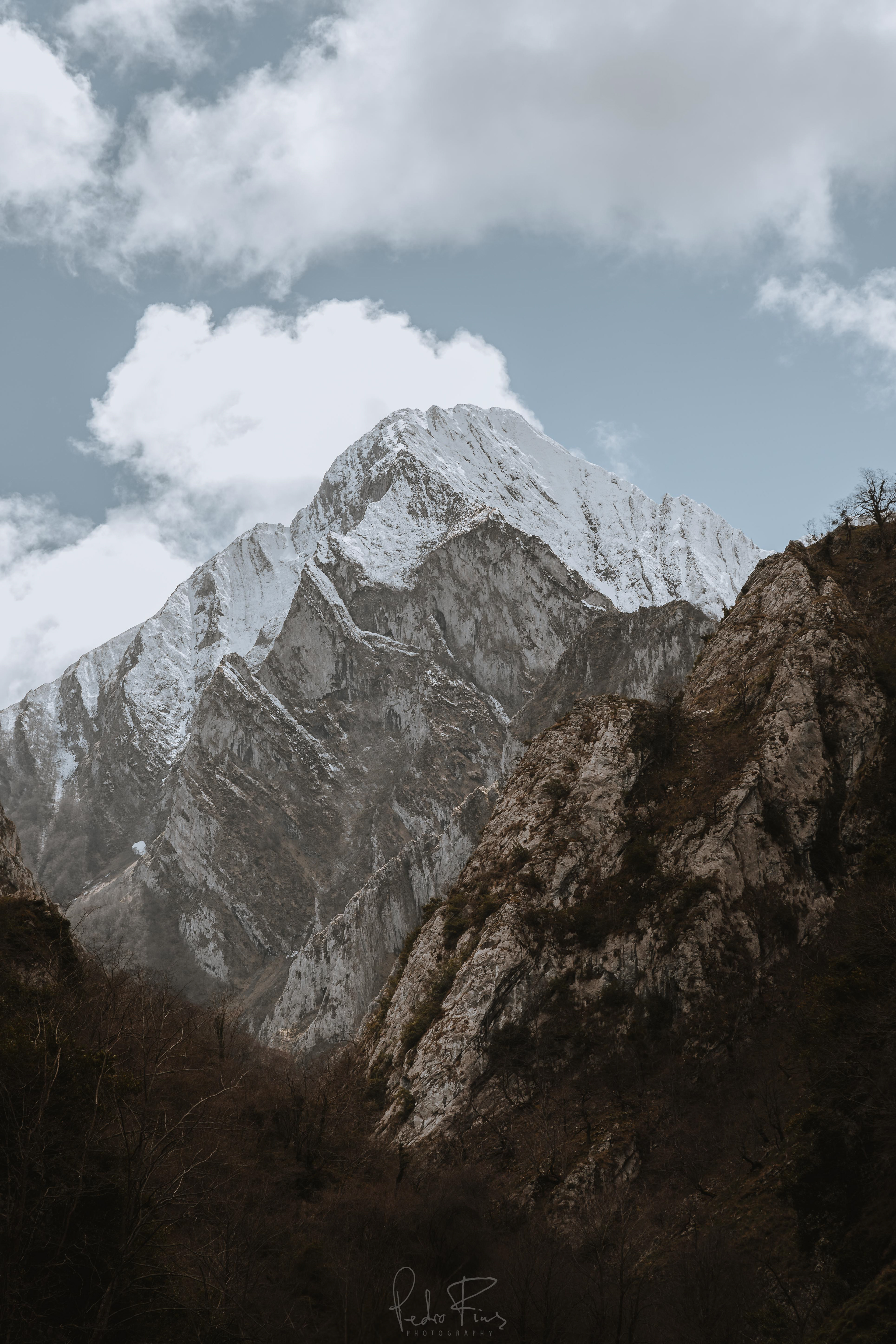 Picos7
