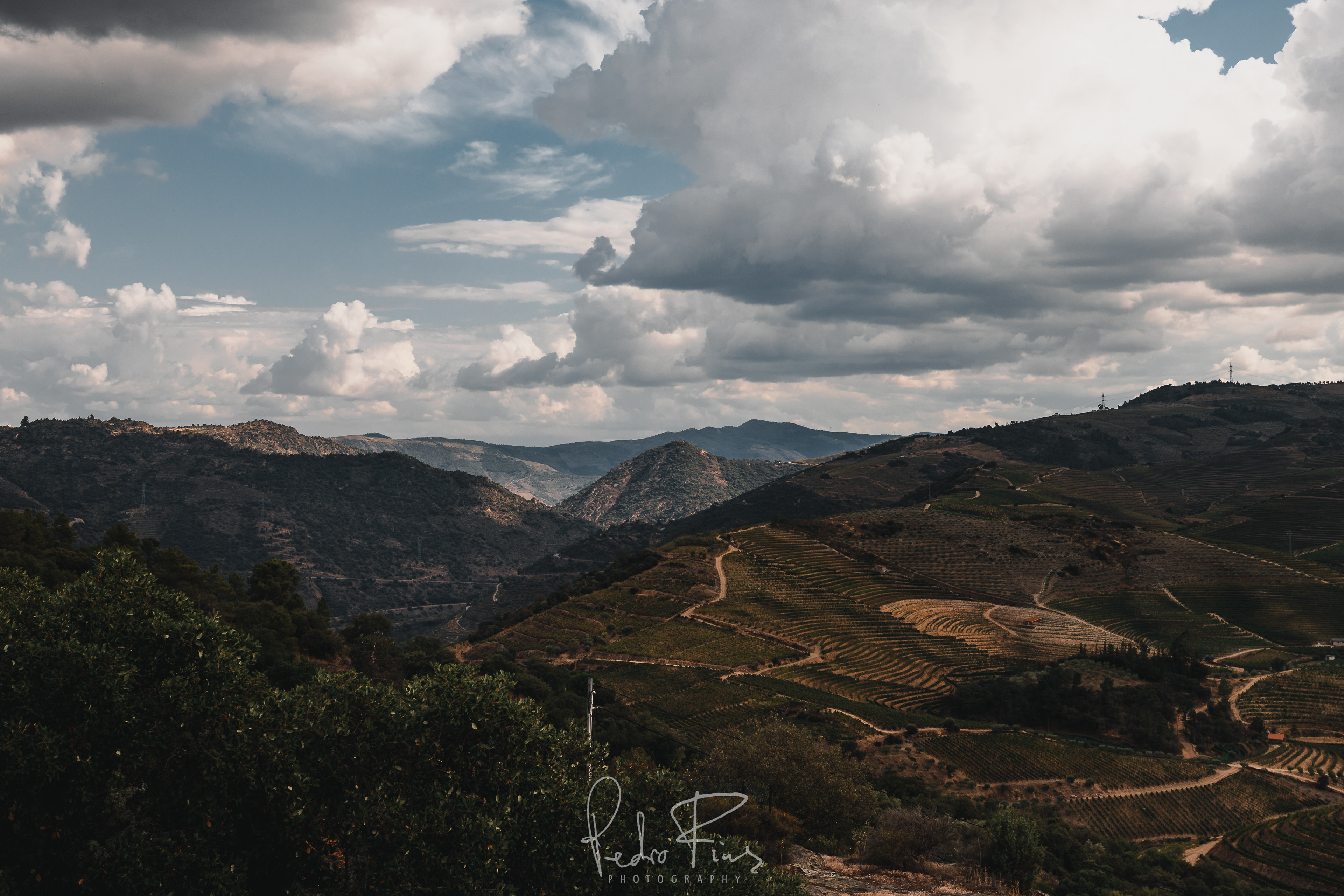 douro6