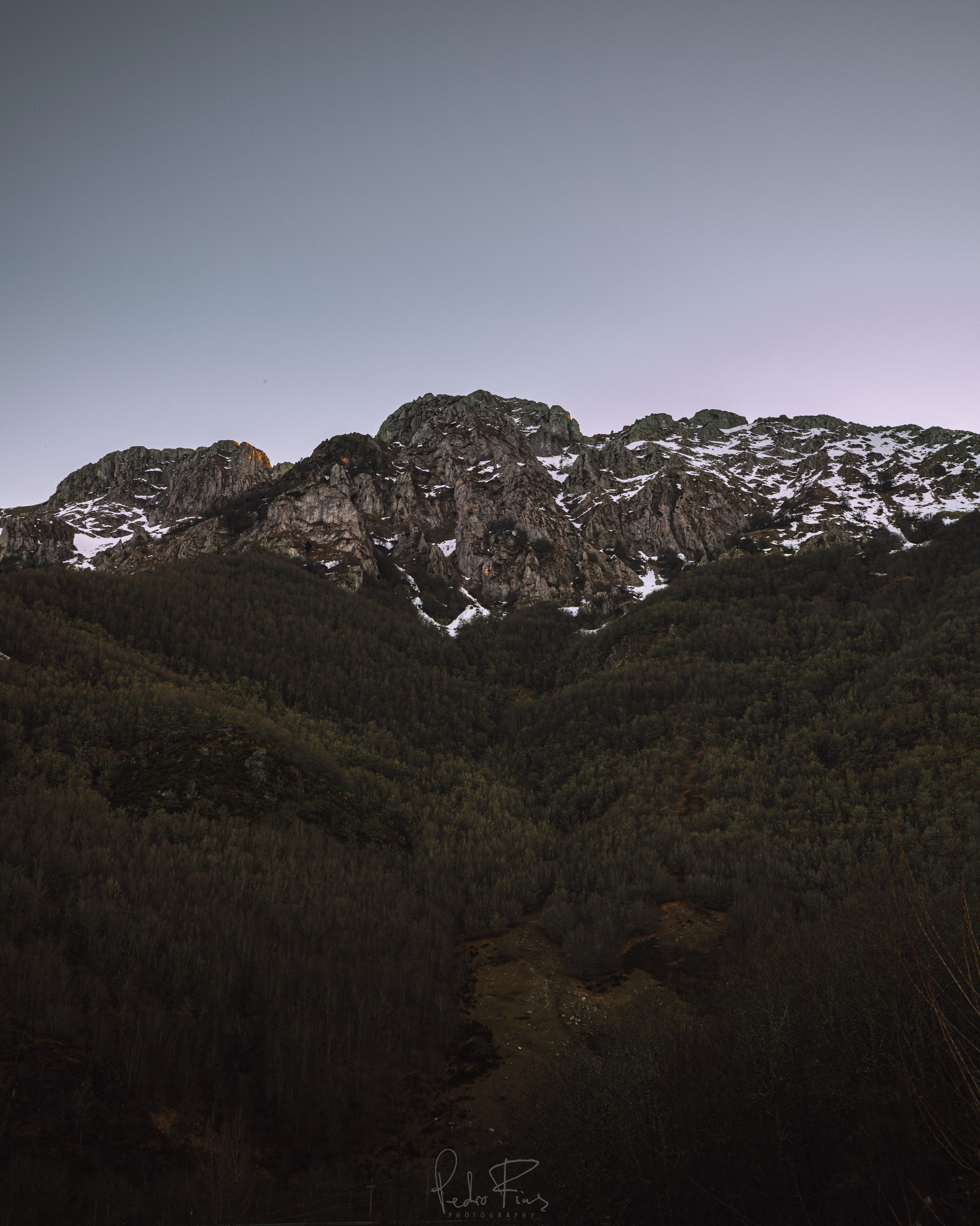 Picos2