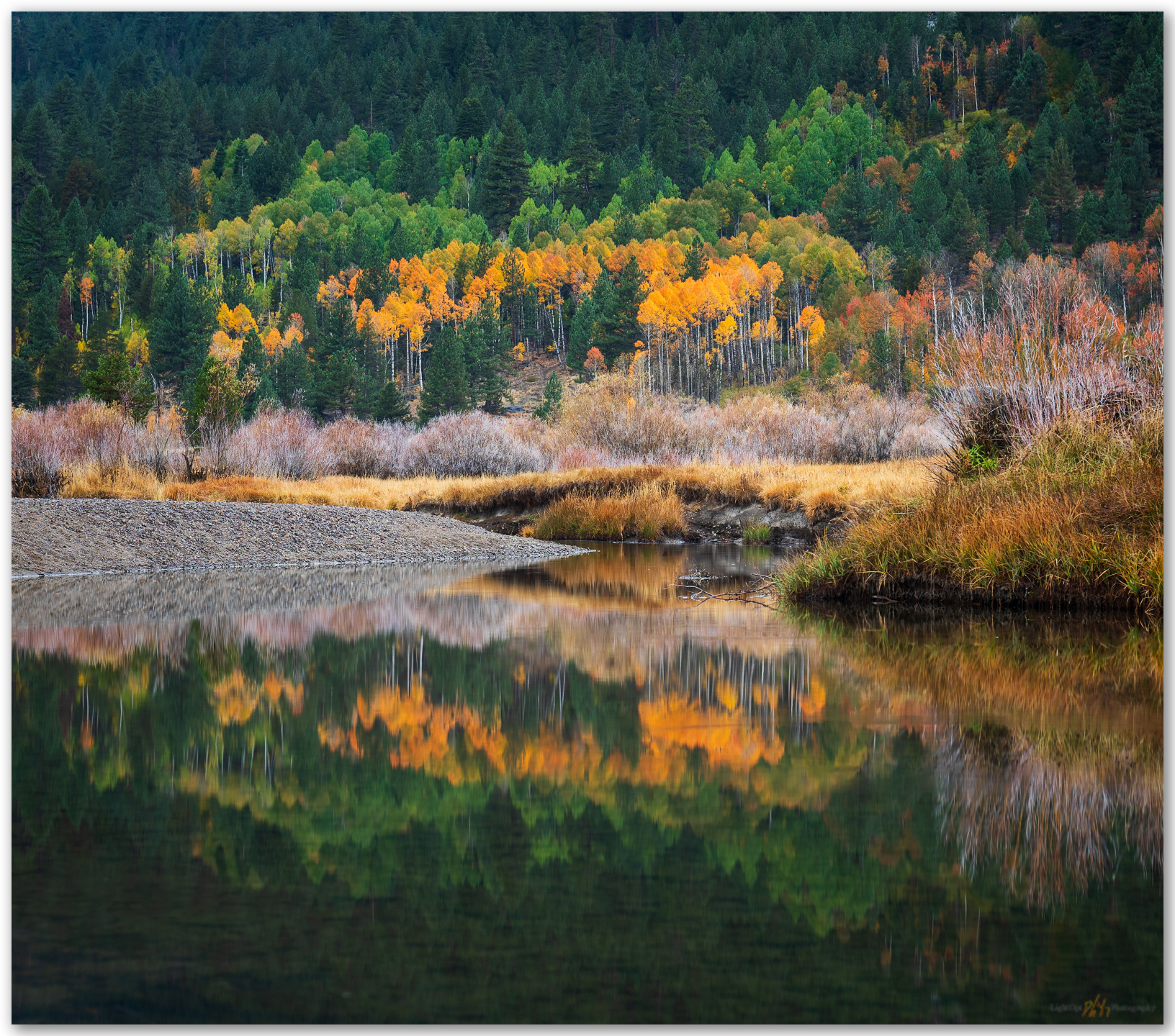 Hopeful end. Fall colors along the West Fork of the Carson River, Hope Valley, CA, USA