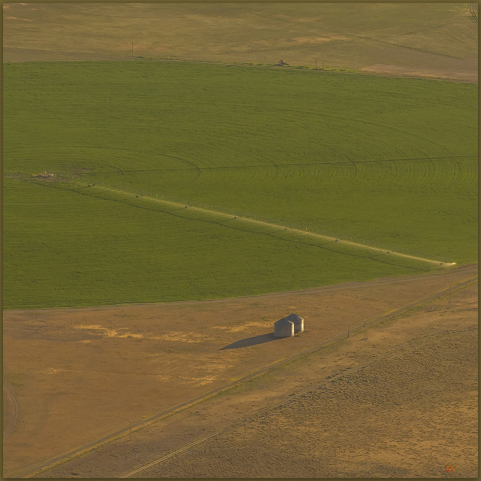 Pivot and bins. Kings River Valley, Great Basin Desert, NV
